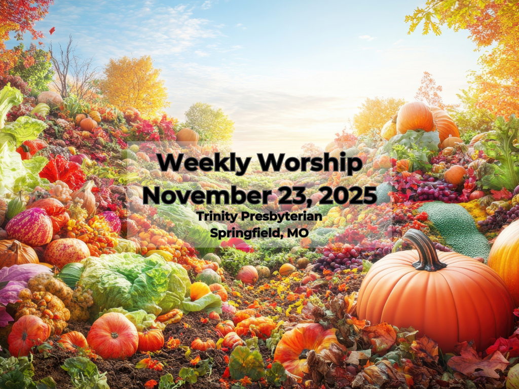 Worship for November 23, 2025