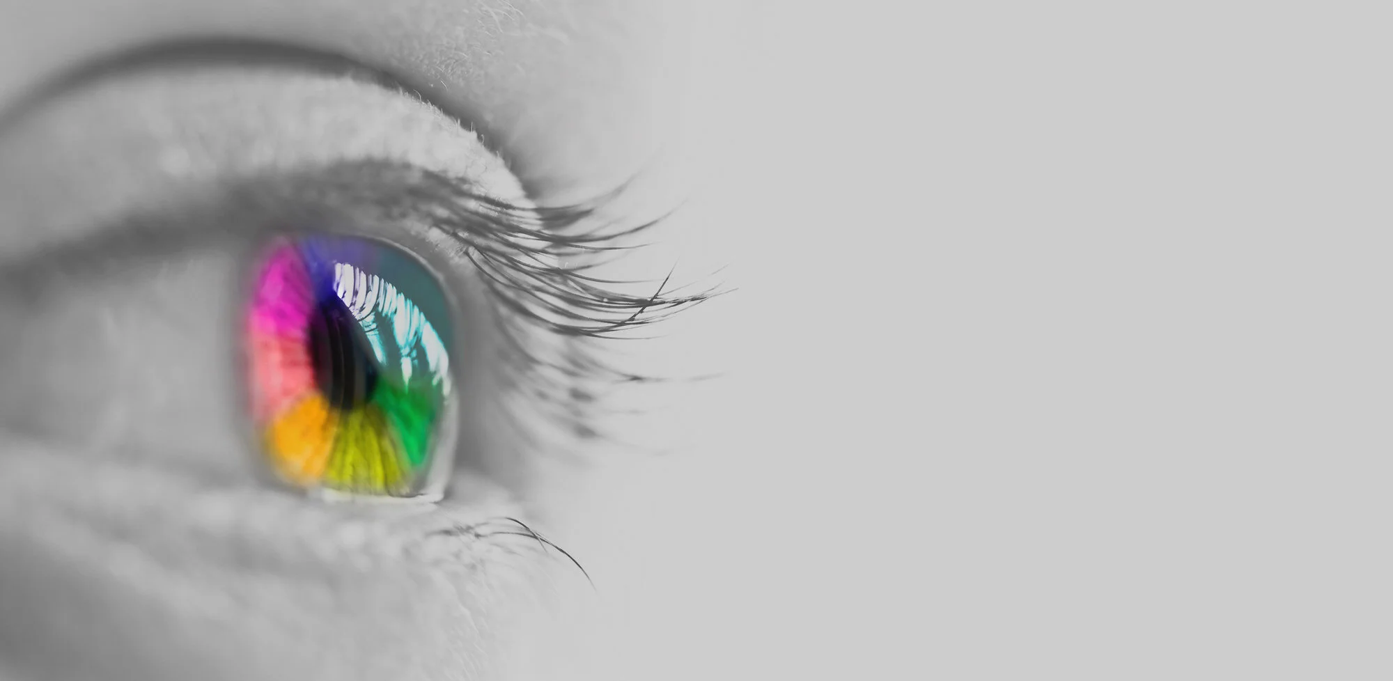 Expert, knowledgeable outside perspective — ProTeam Foodservice Advisors