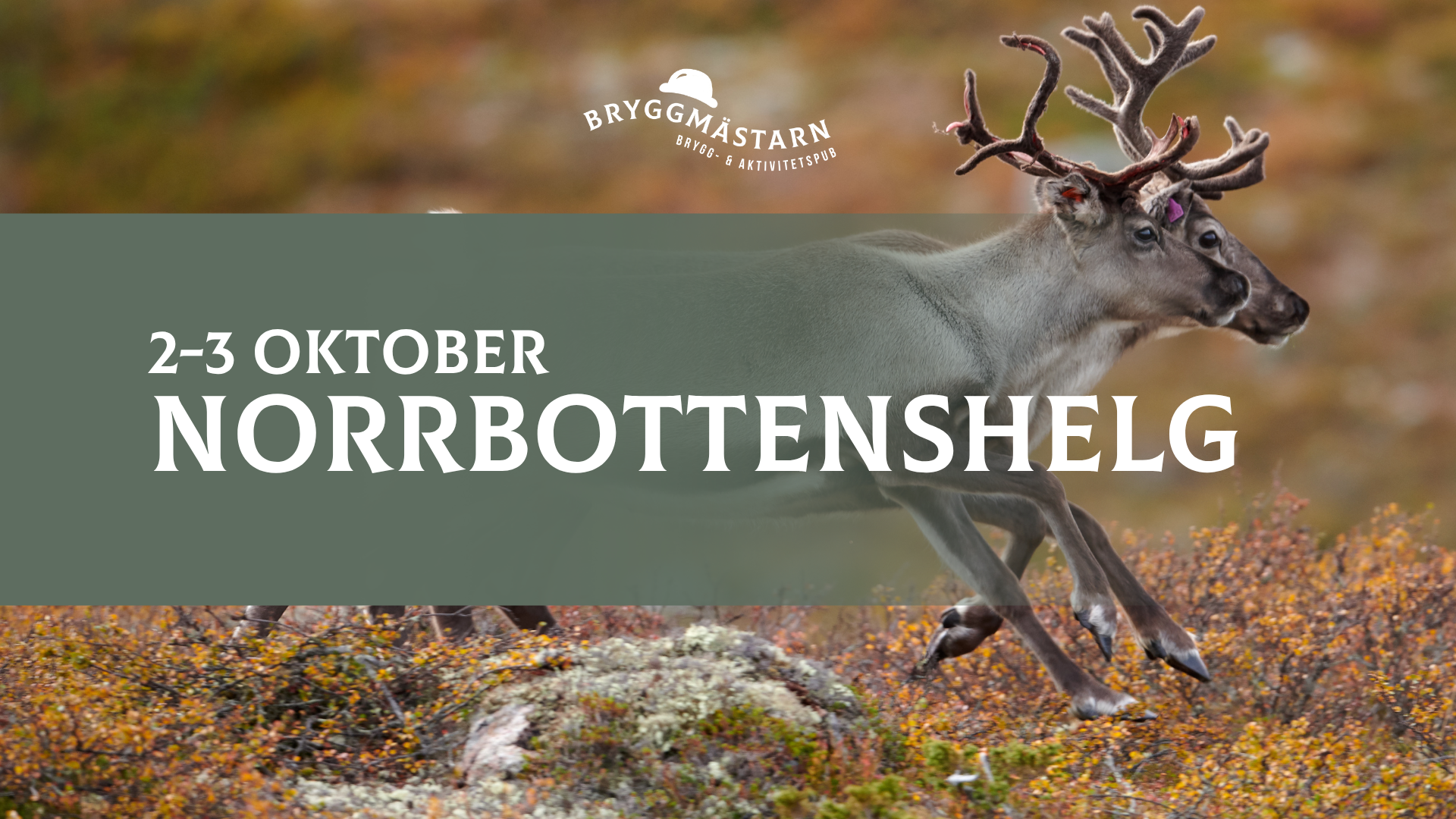 Norrbottenshelg &amp; v85