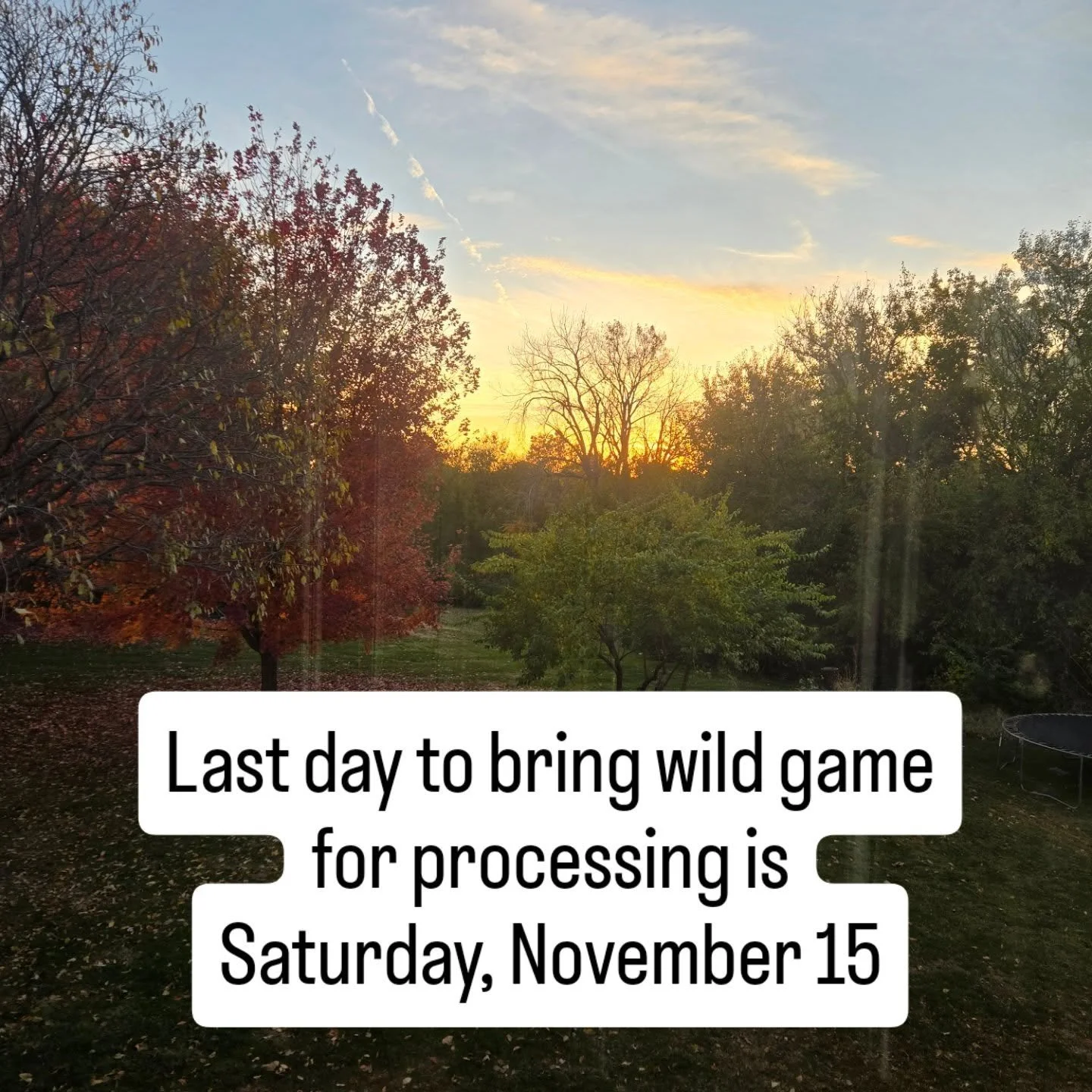 After 11/15, stash your harvest in your freezer and bring to us in January when we'll resume processing.