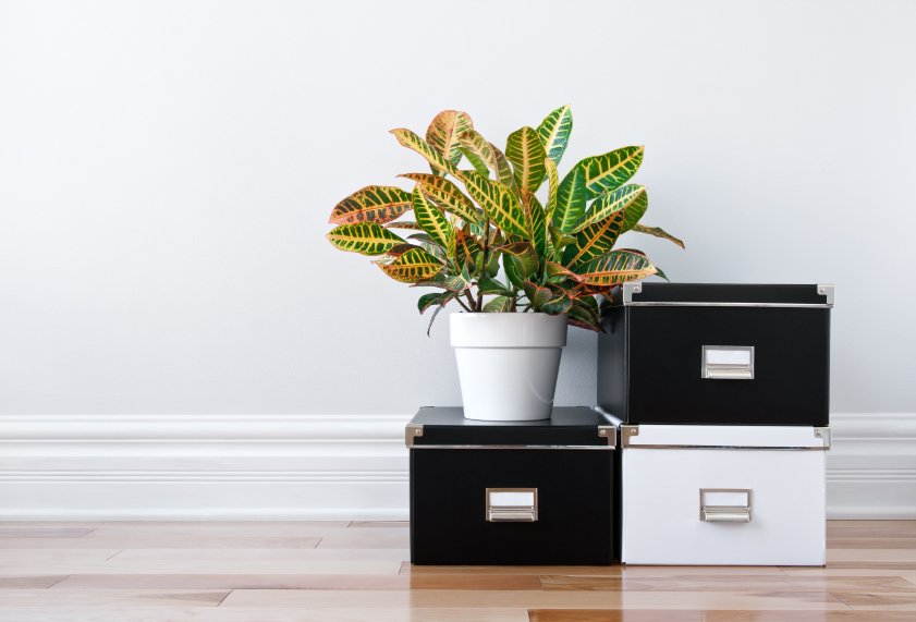 Small Organizing Changes That Save You Time Every Day