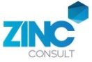 Zinc Consult logo (Copy)
