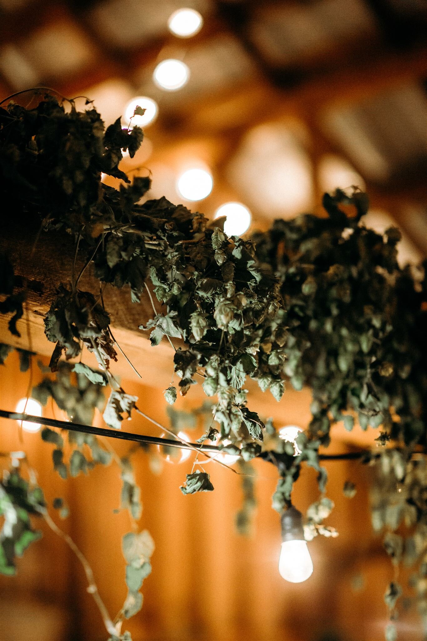 alli-and-john-stemple-creek-ranch-wedding-688_websize.jpg
