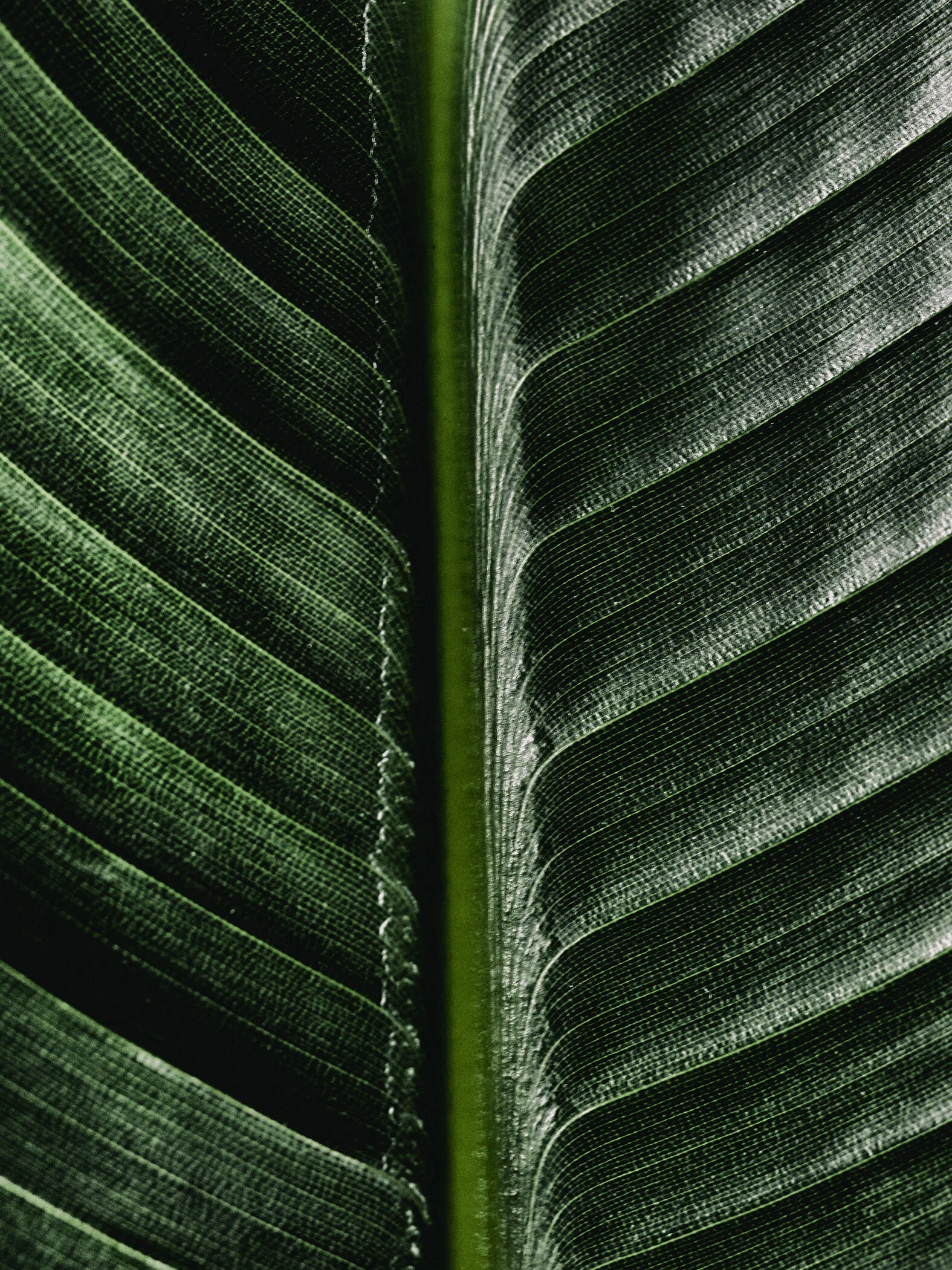 _B130510 - copie.JPG