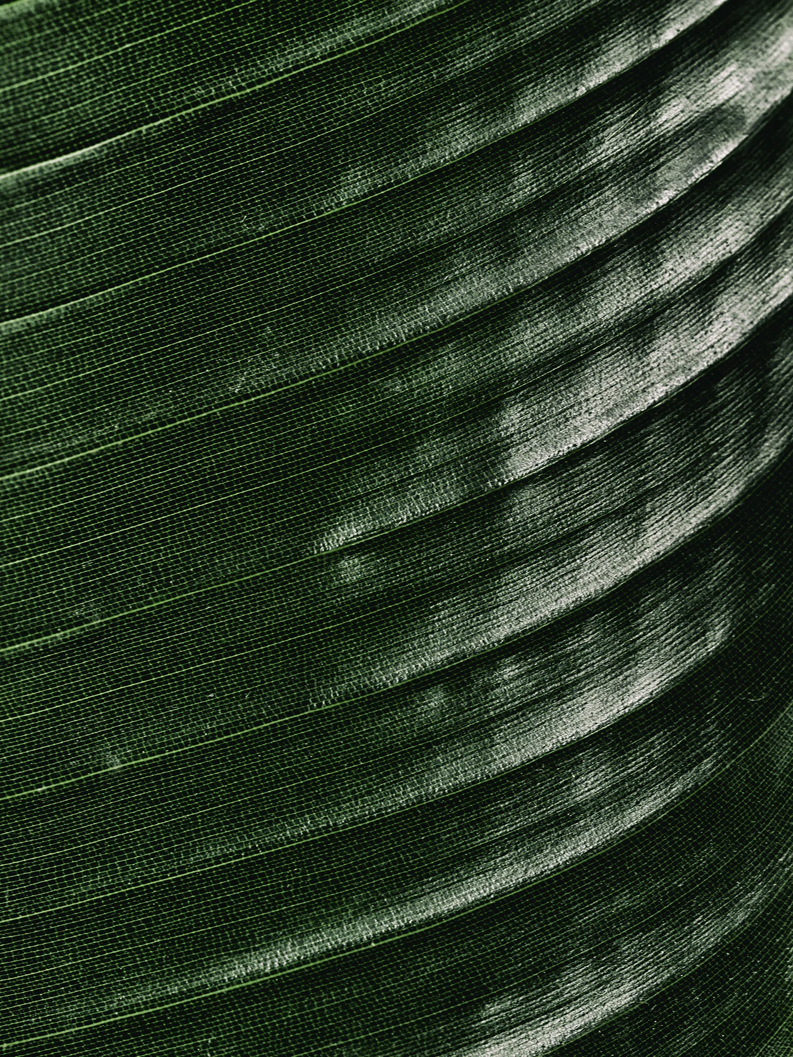 _B130508 - copie.JPG