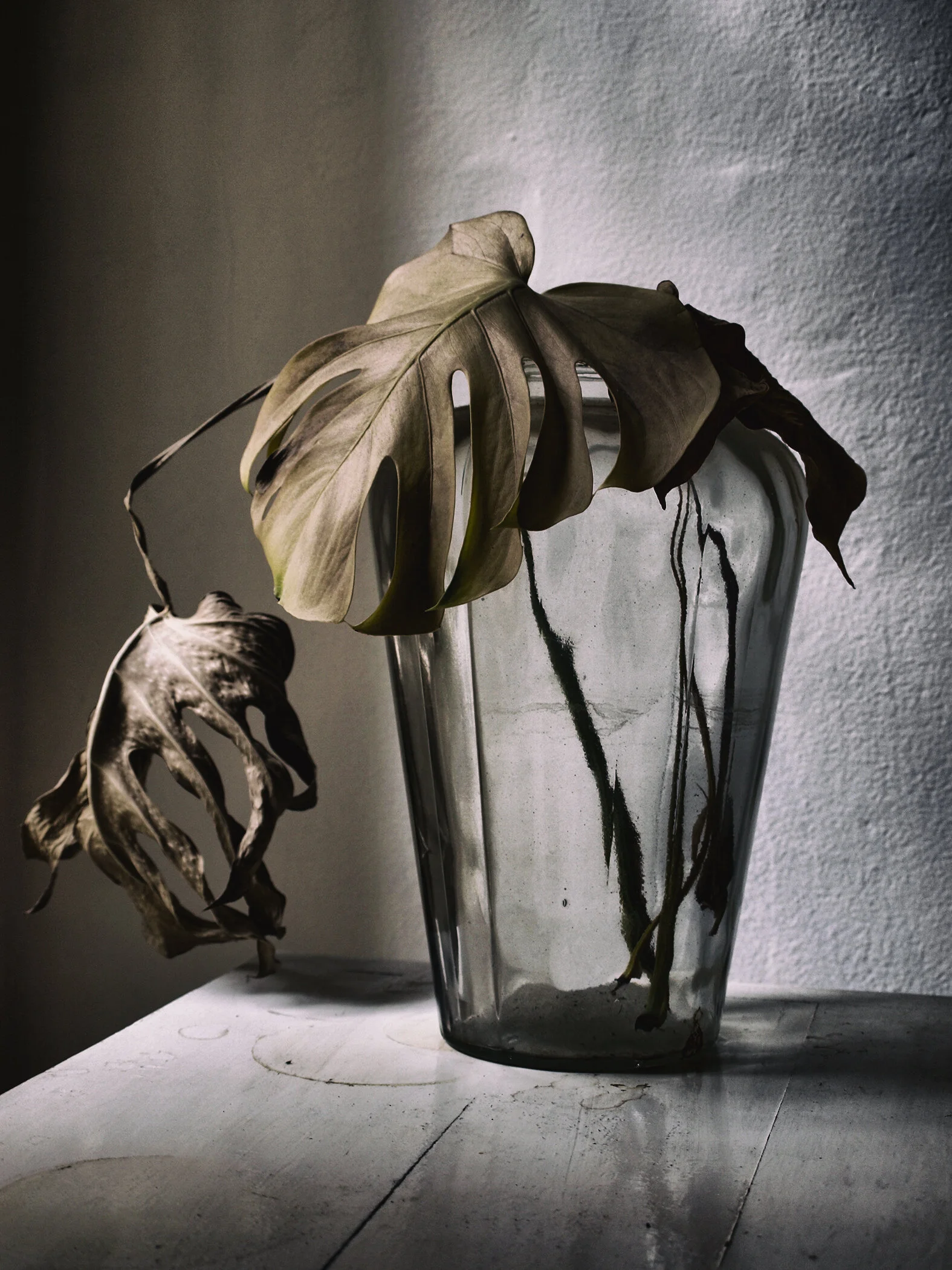 _9230478 - copie.JPG