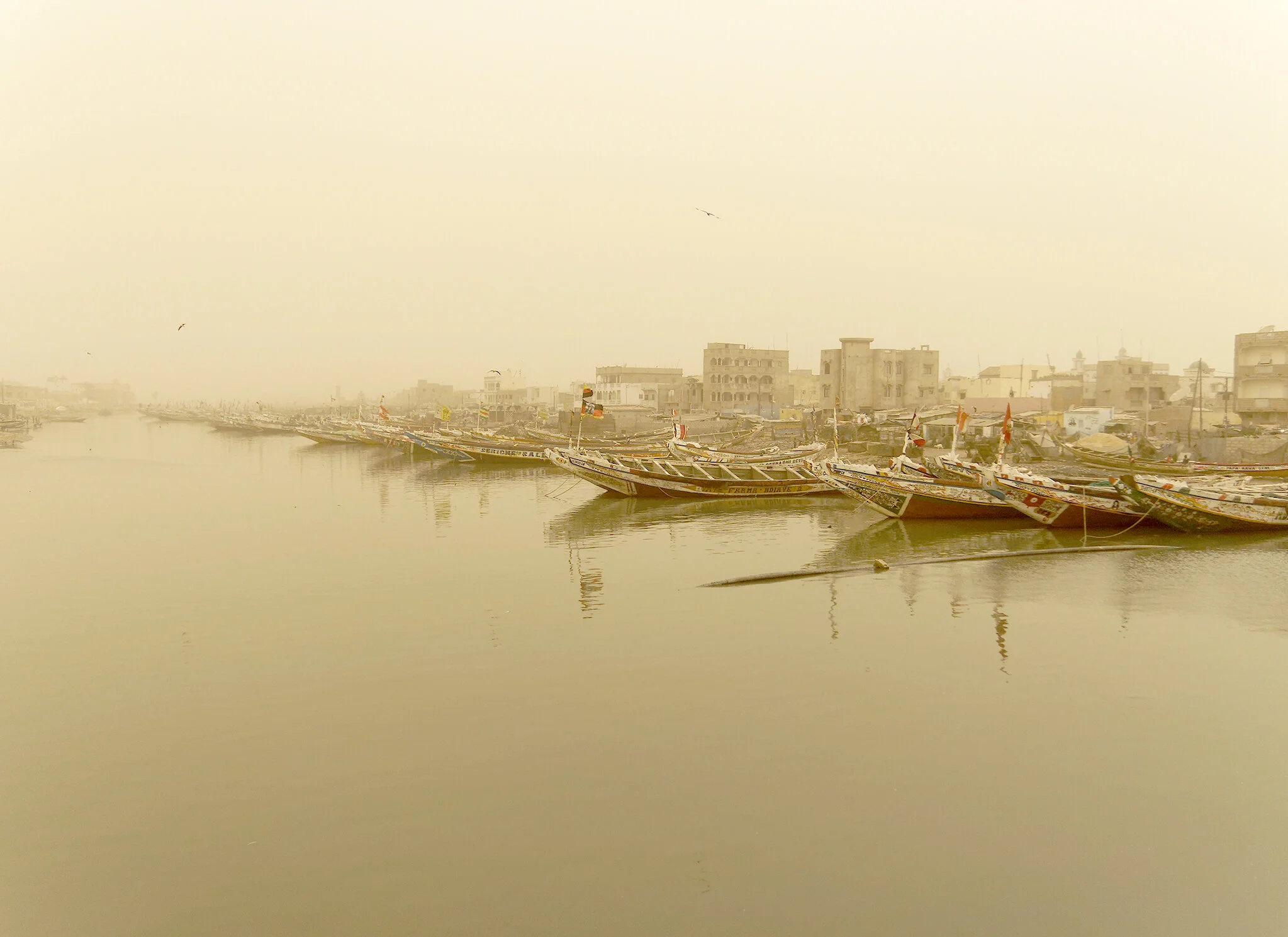 _3300286_DxOsmall.jpg