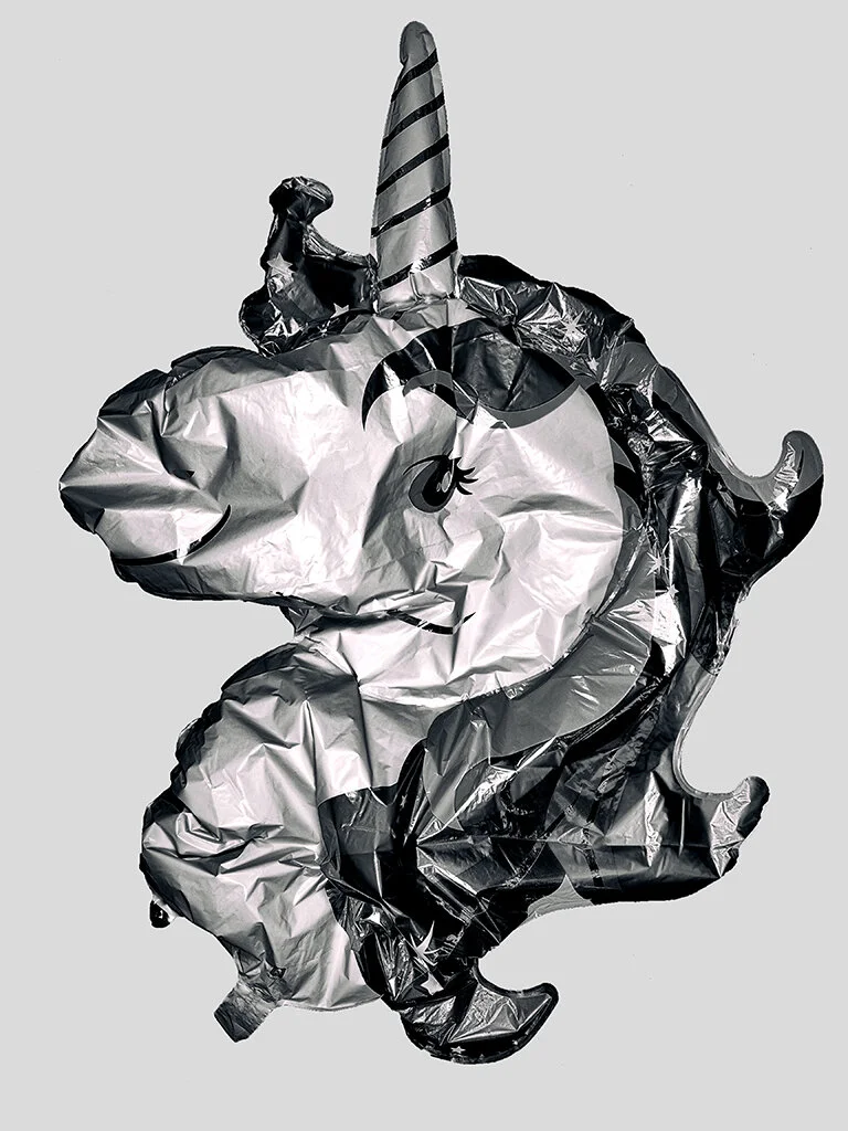 licorne copie.JPG
