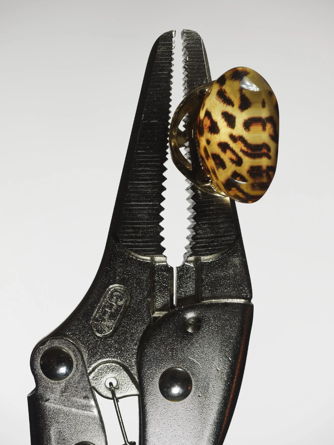 pince croco applat_DxO.jpg