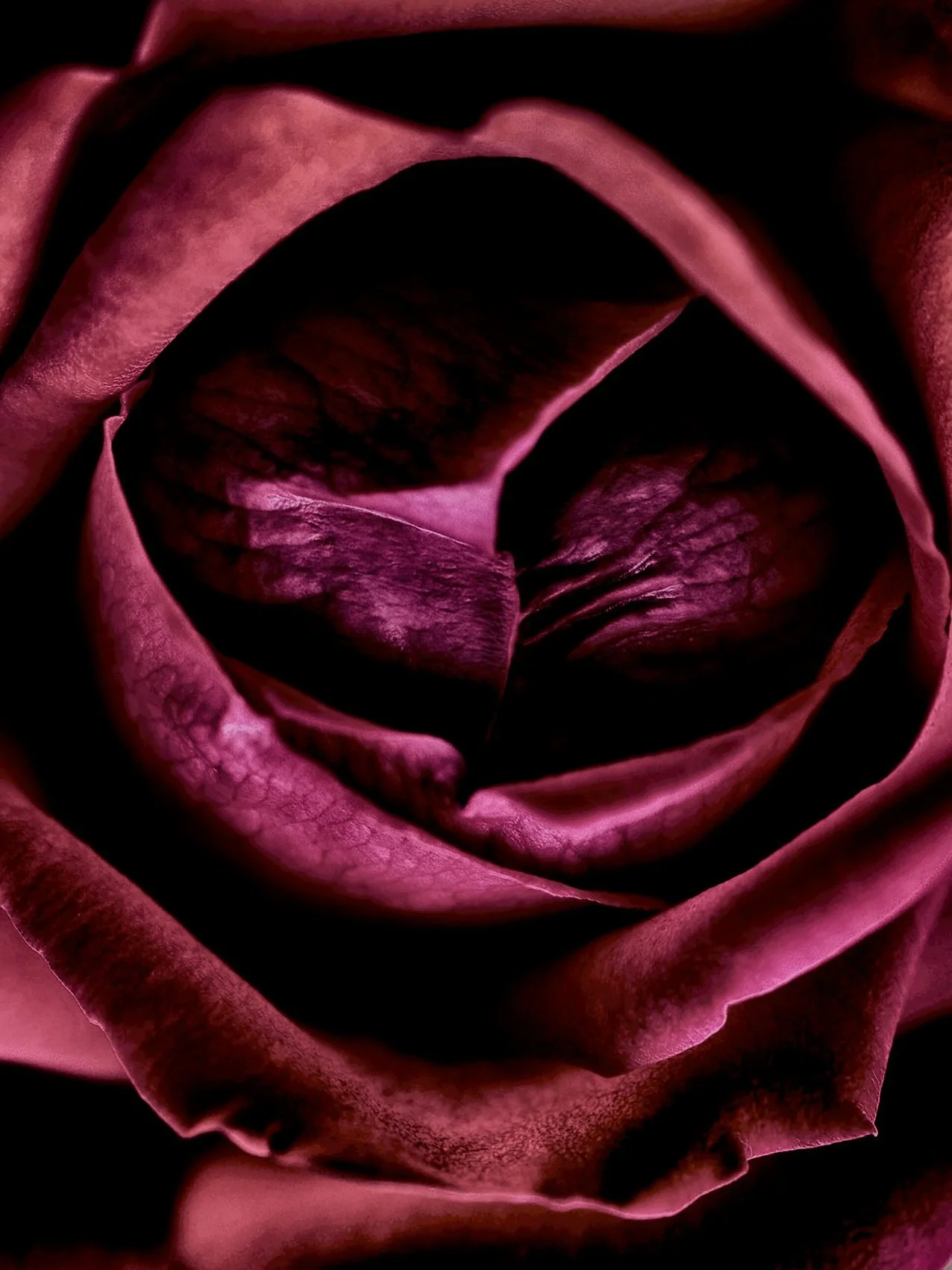fleur tenerif 3 site.jpg
