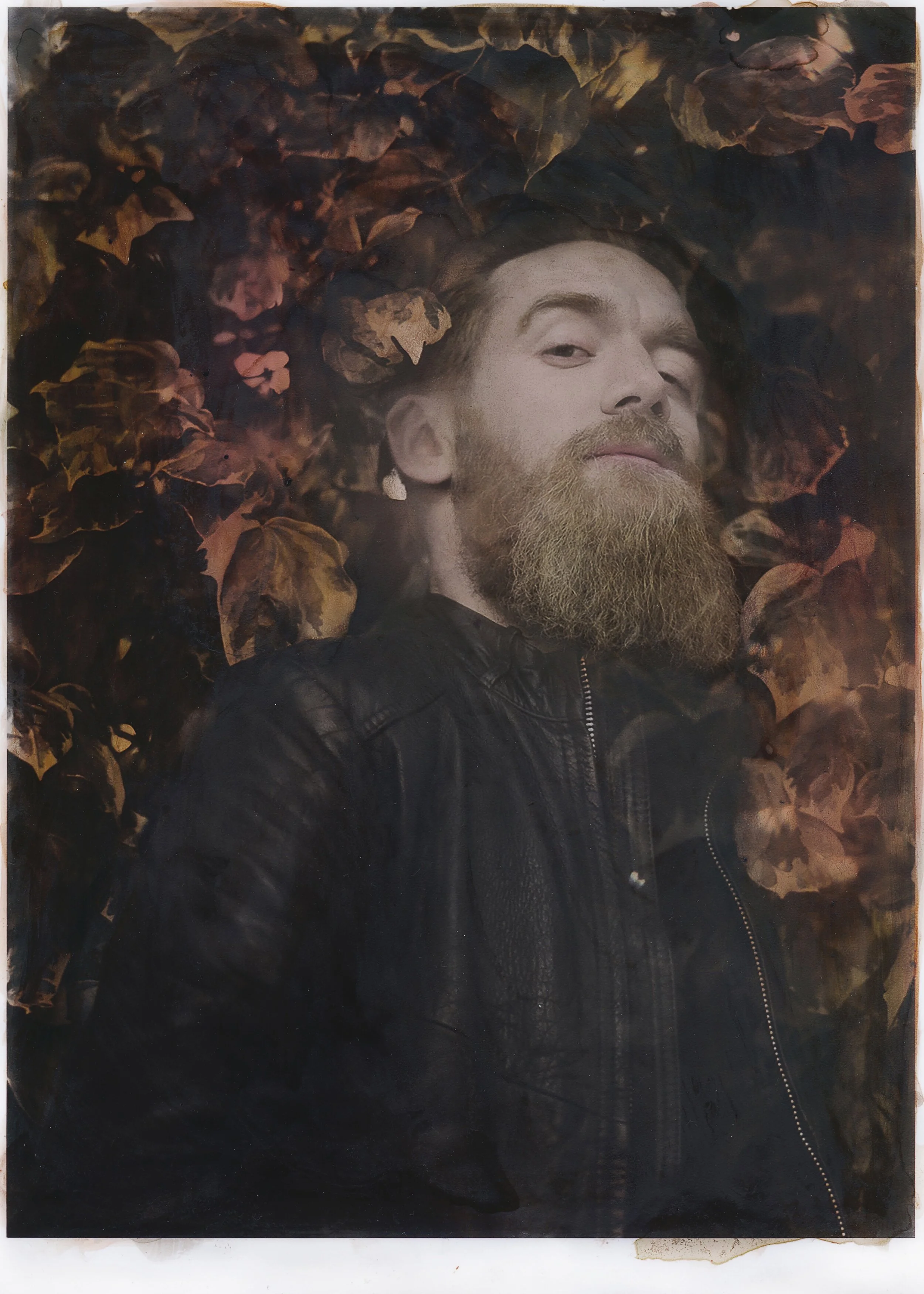 Merlin Sutter, by Katie Eleanor