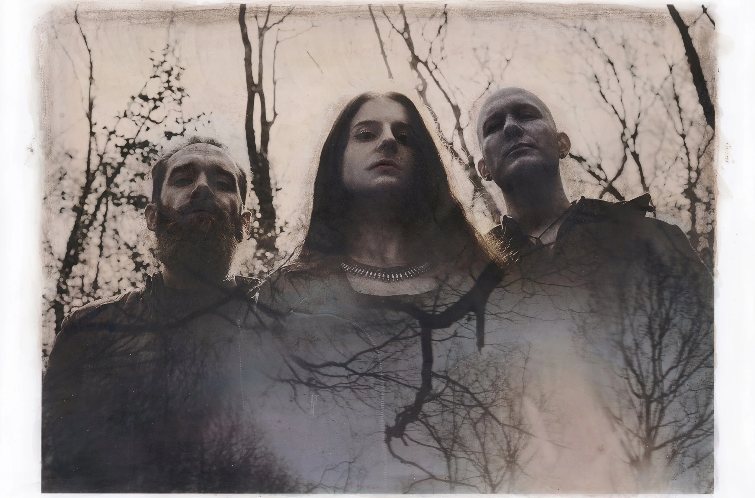 Cellar Darling, by Katie Eleanor