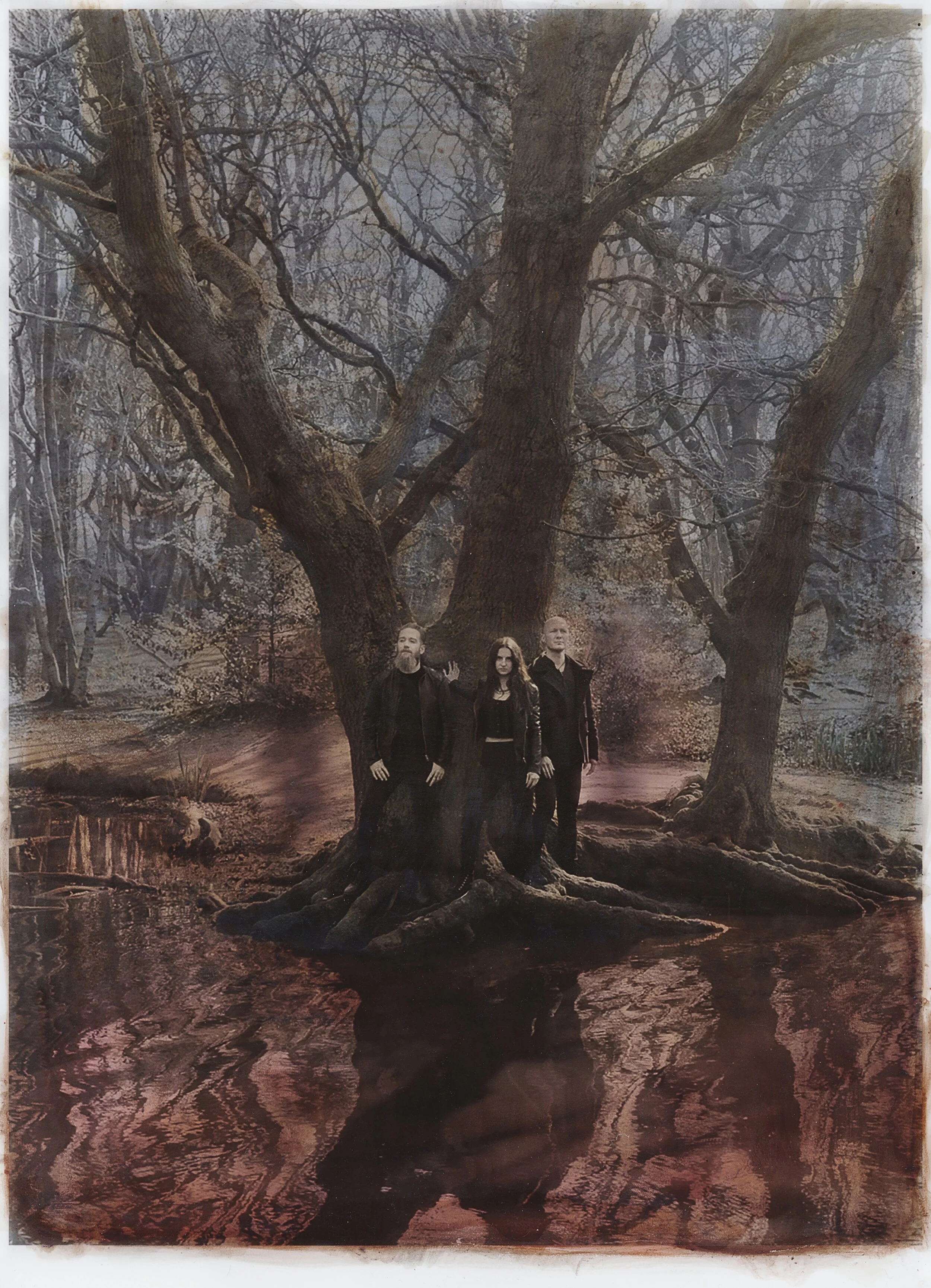 Cellar Darling, by Katie Eleanor