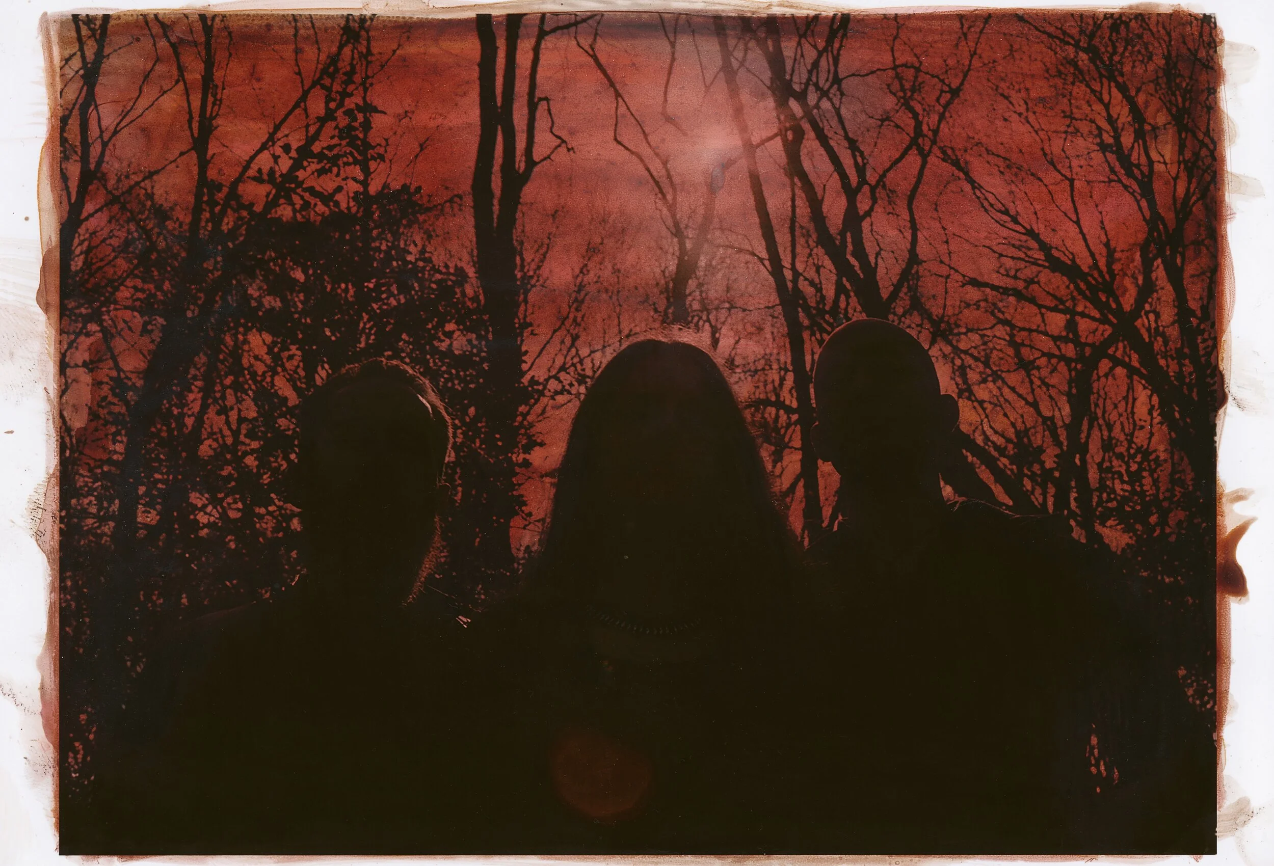 Cellar Darling, by Katie Eleanor