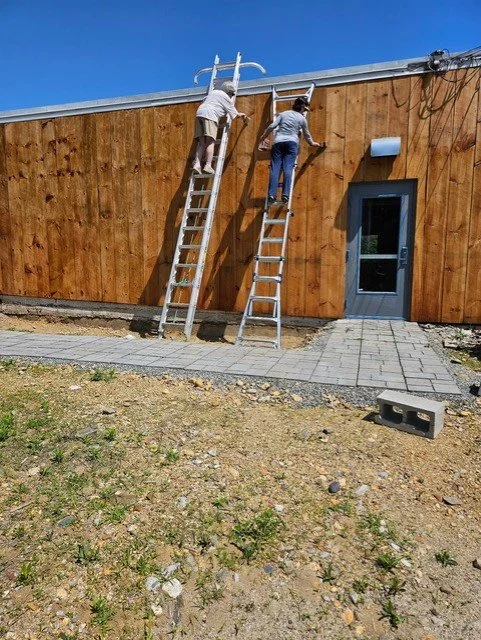 building 3.jpeg