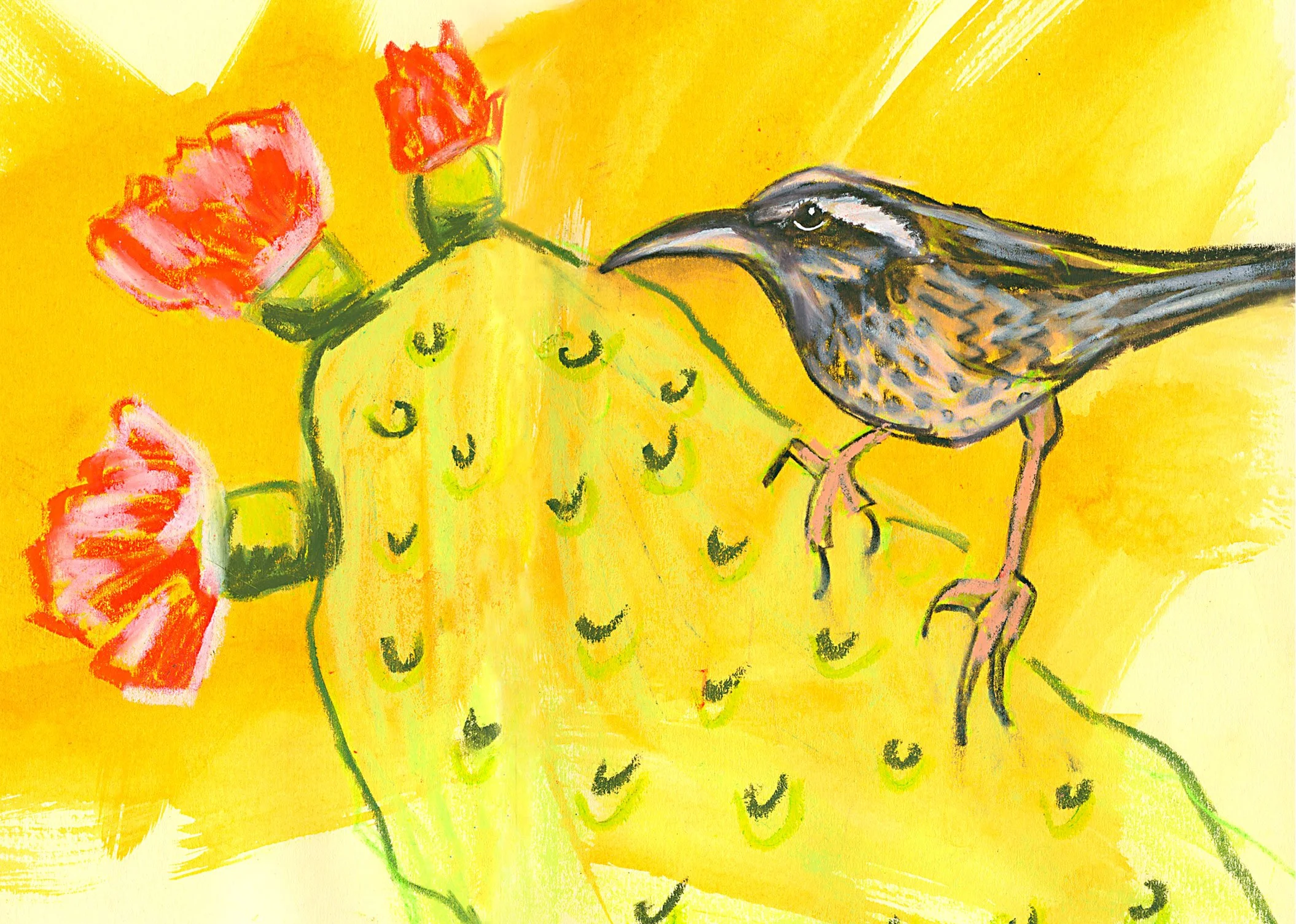 Yellow-Cactus-Wren.jpg
