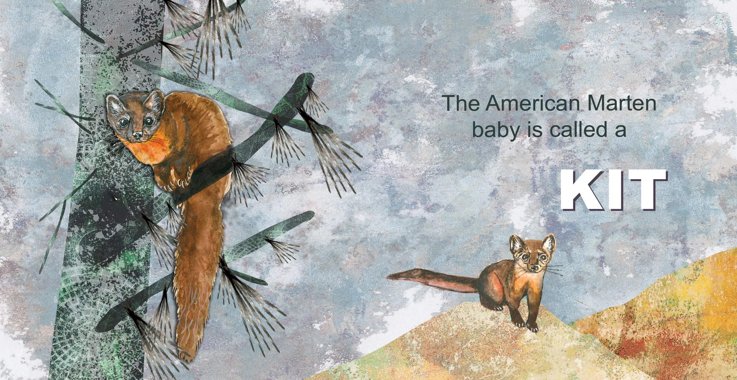 Spreads_Marten.jpg