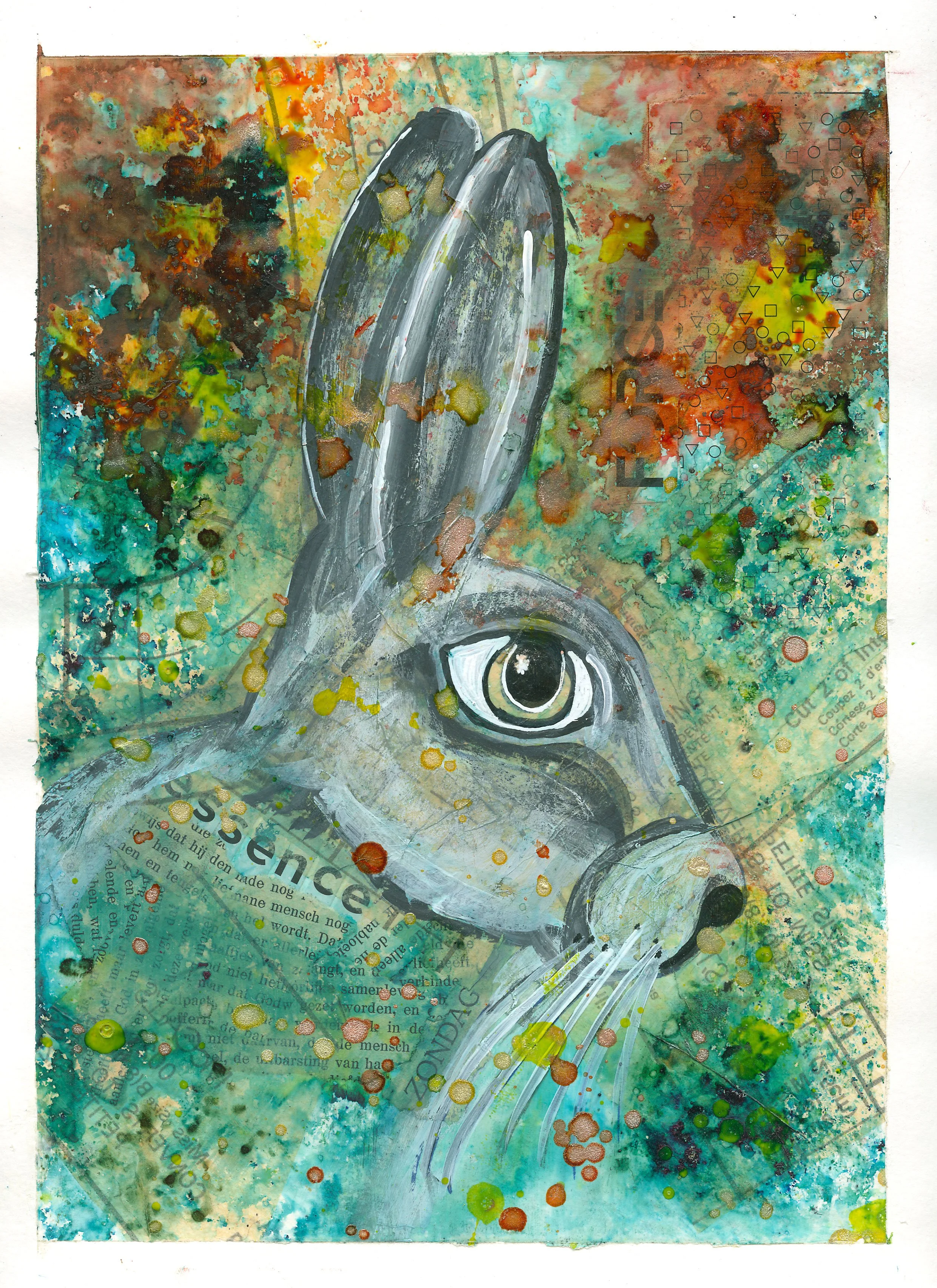rabbit-collage.jpg