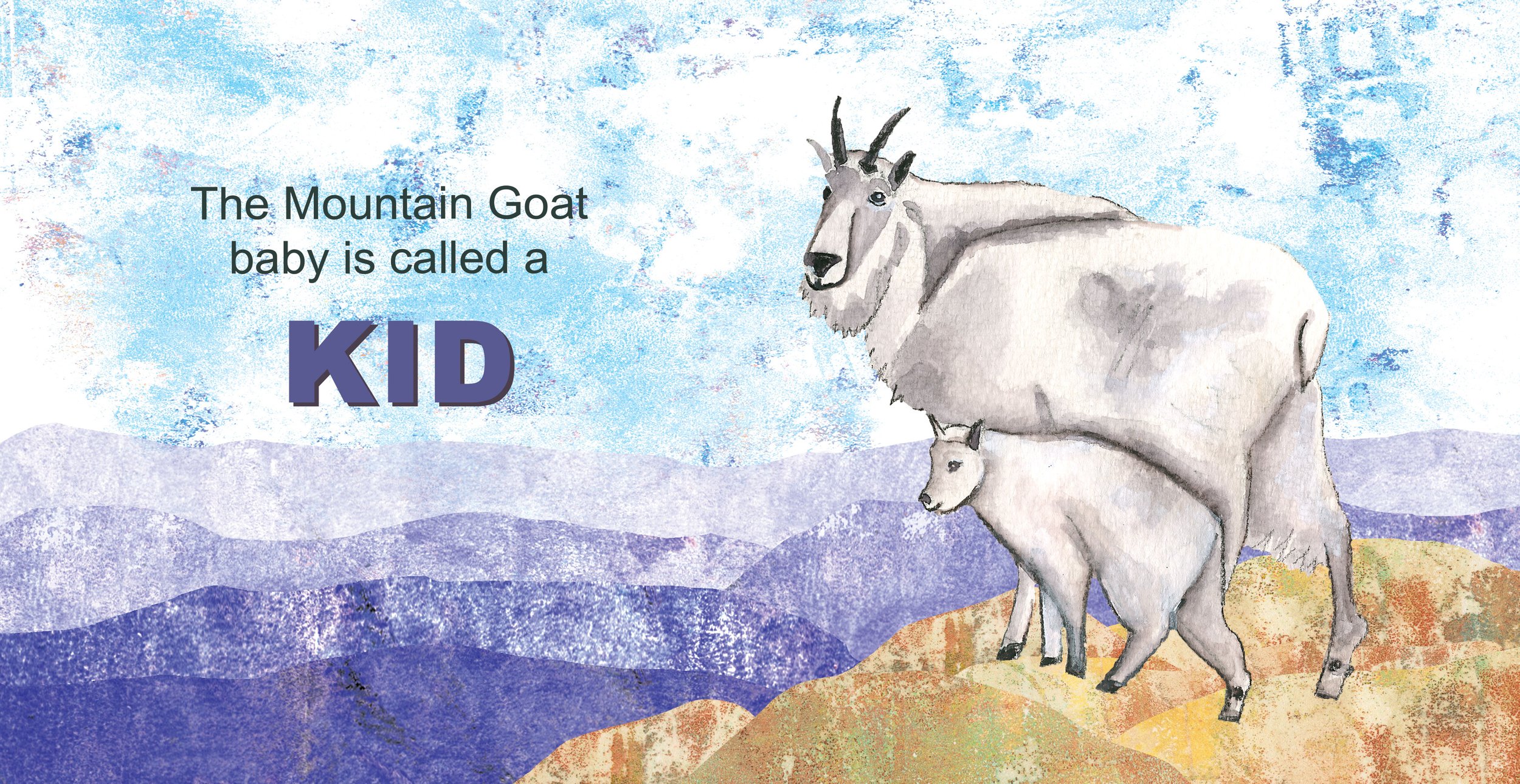 Spreads_Interior_MtnGoat.jpg