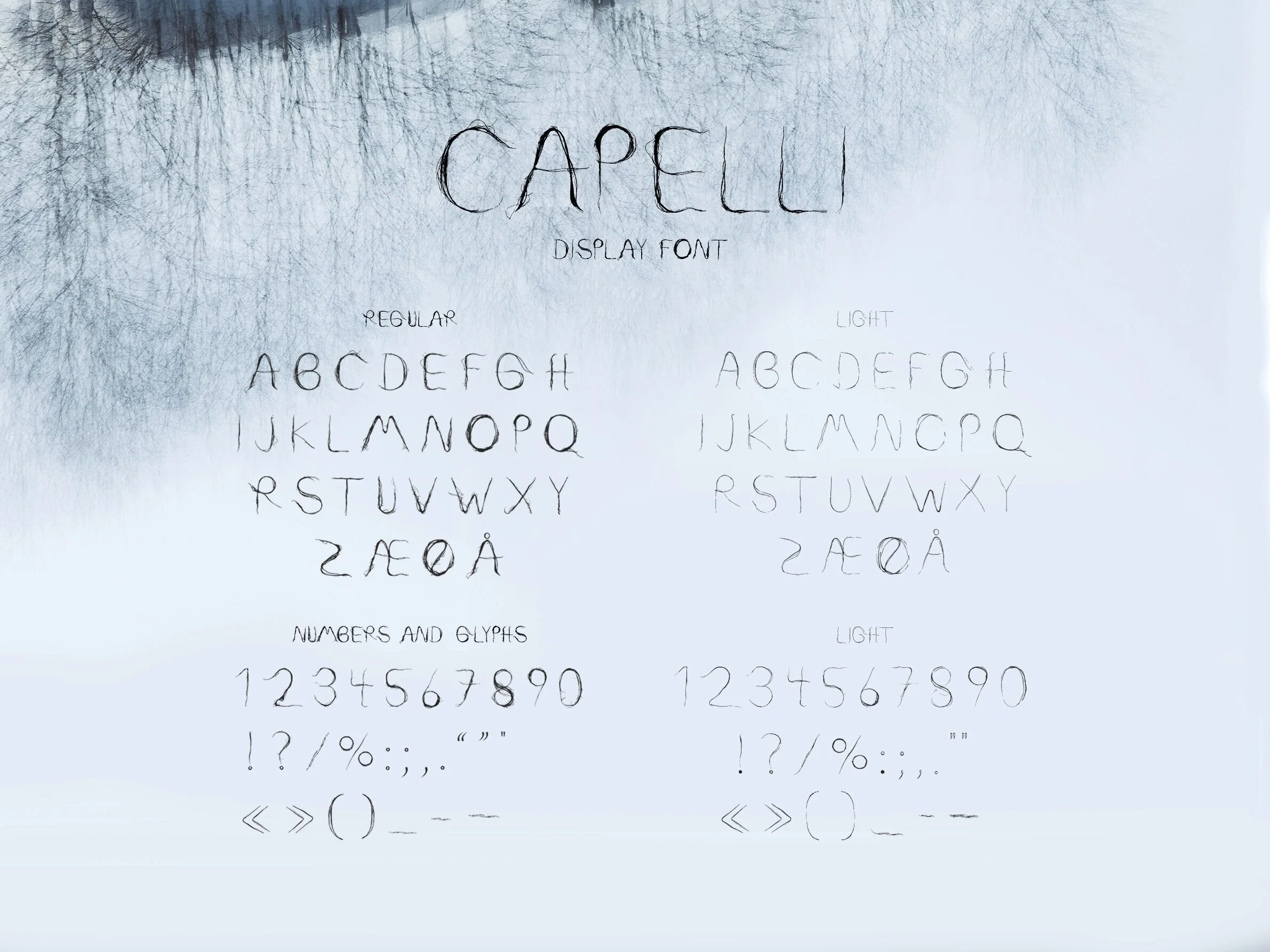 CAPELLIFONTDISPLAY1.jpg