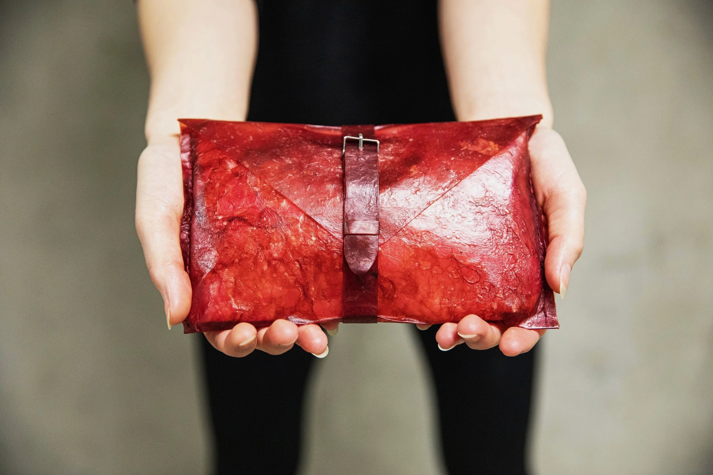 Kombucha Leather