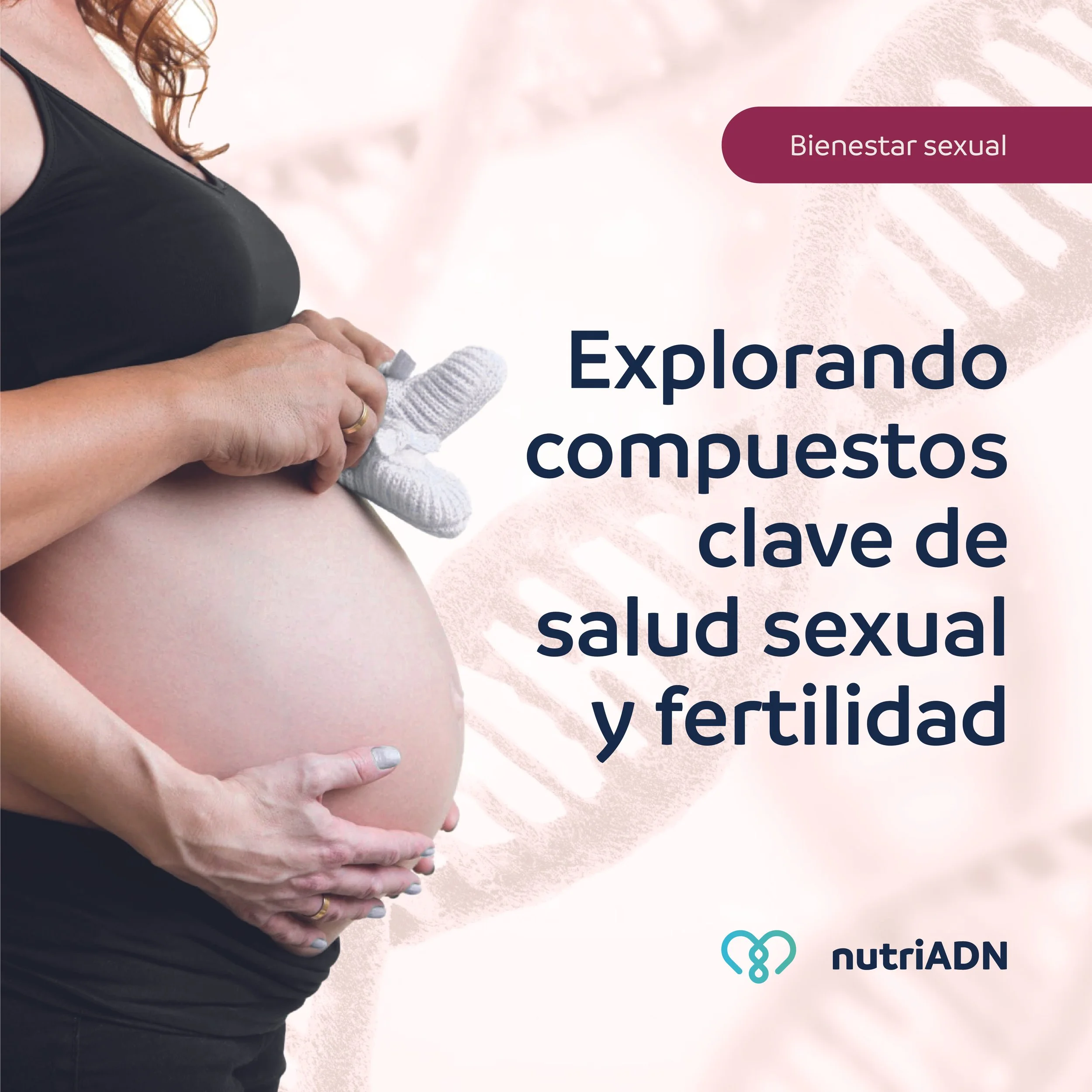 El bienestar sexual: explorando compuestos clave de salud sexual y fertilidad