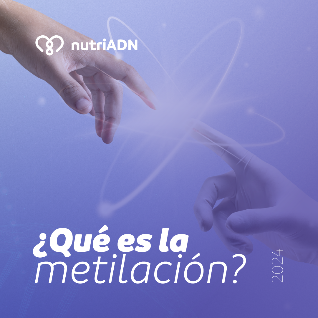 ¿Qué es la metilación?