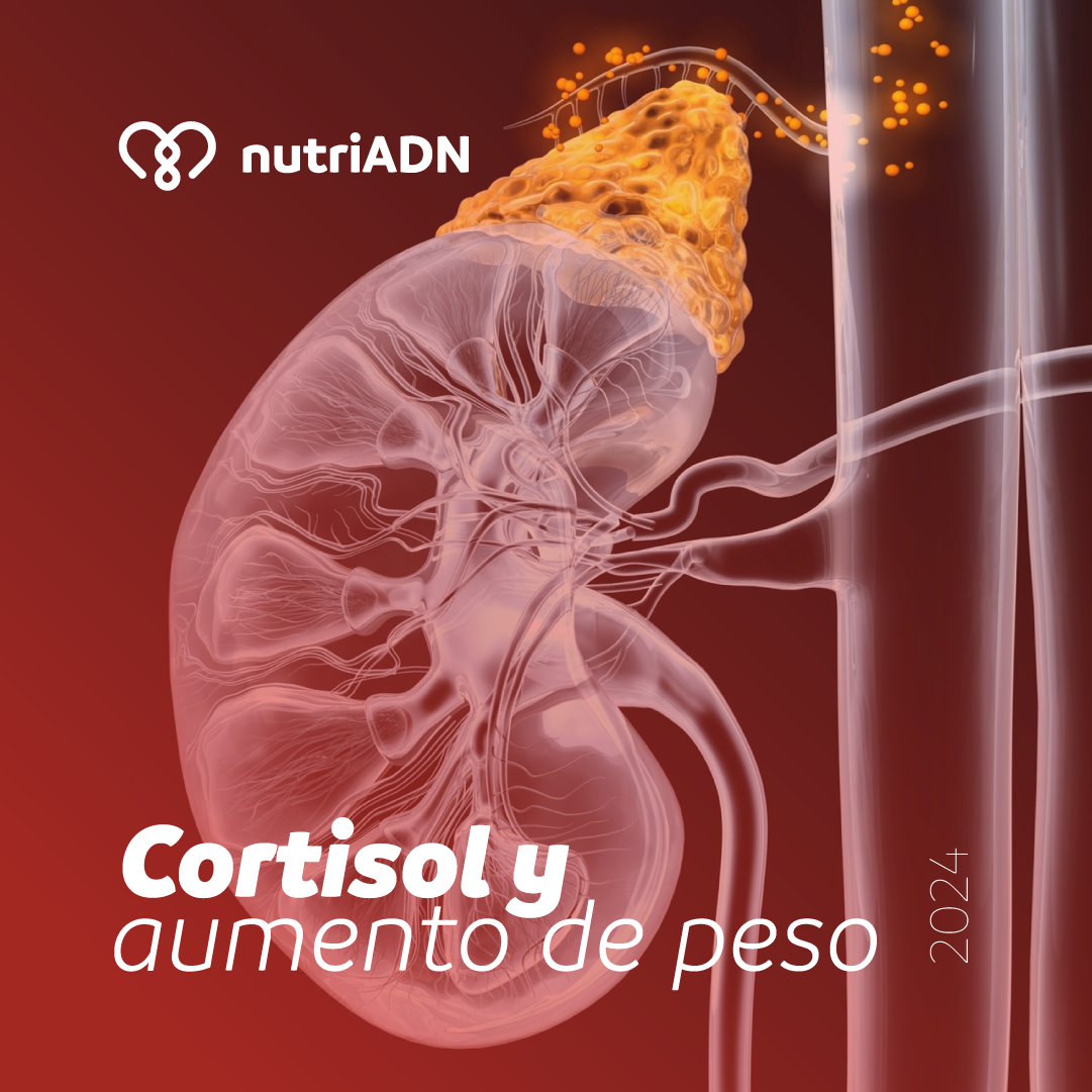 Cortisol y aumento de peso: comprender la conexión