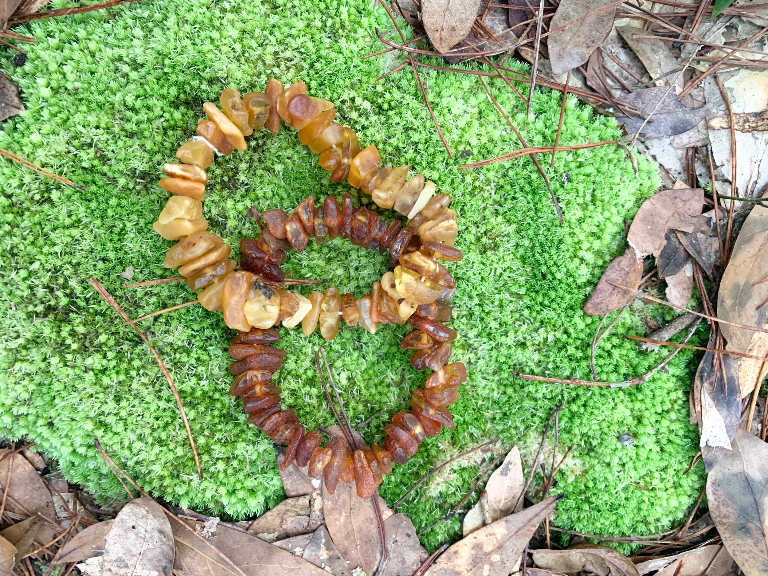 Healing Baltic Amber Jewelry Live Love Travel Green