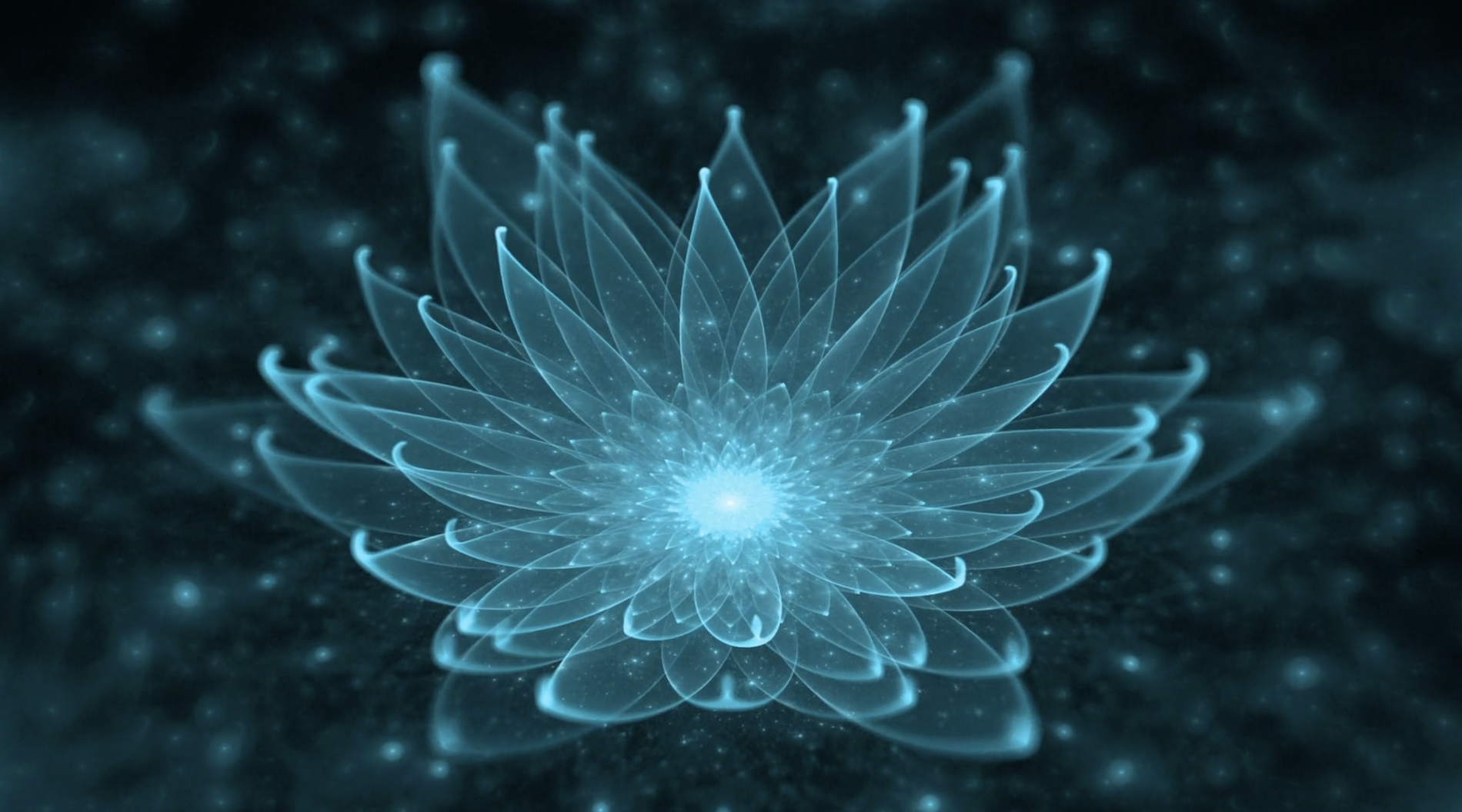 auricular-acupuncture_lake-view-psychotherapy.png