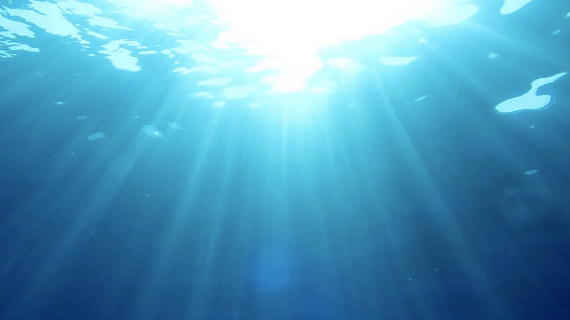 our-approach_lake-view-psychotherapy.png
