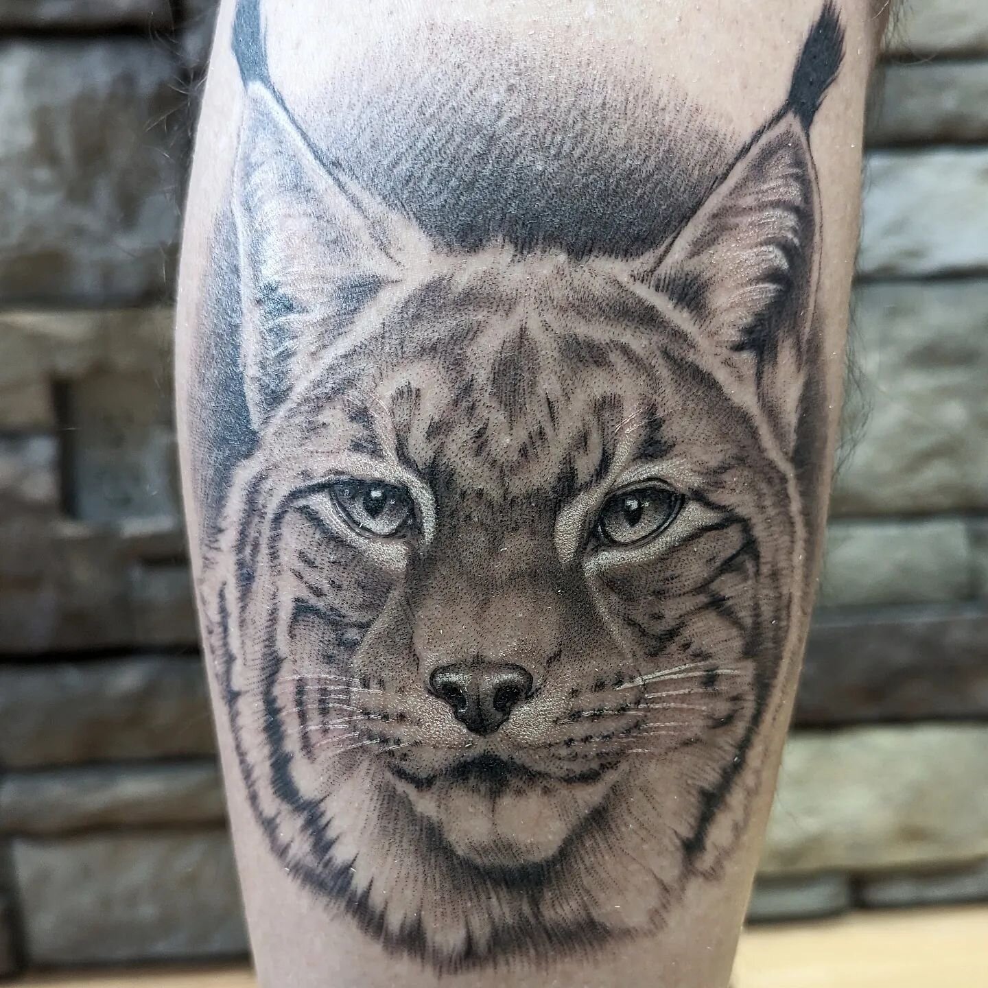 Lynx by:Nelson
@nelson.tattoos 
#tattoo #realistictattoo #blackandgreytattoo