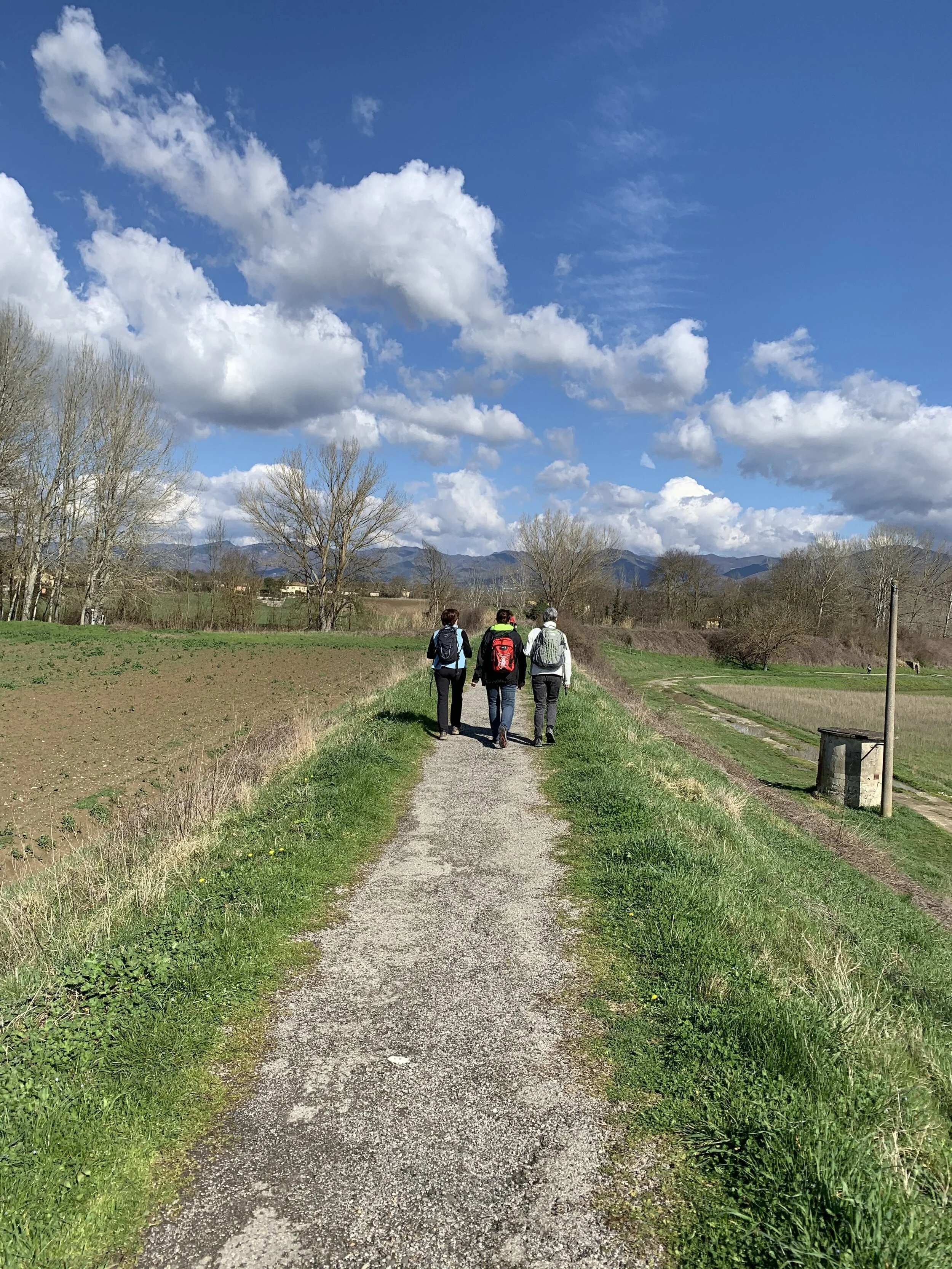 Coming to a Theater Near You (unfortunately)