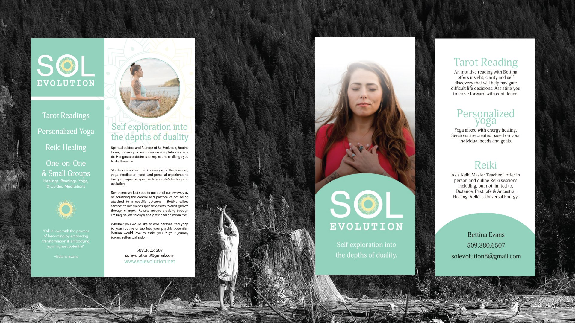 SolEvolution-Flyers.jpg