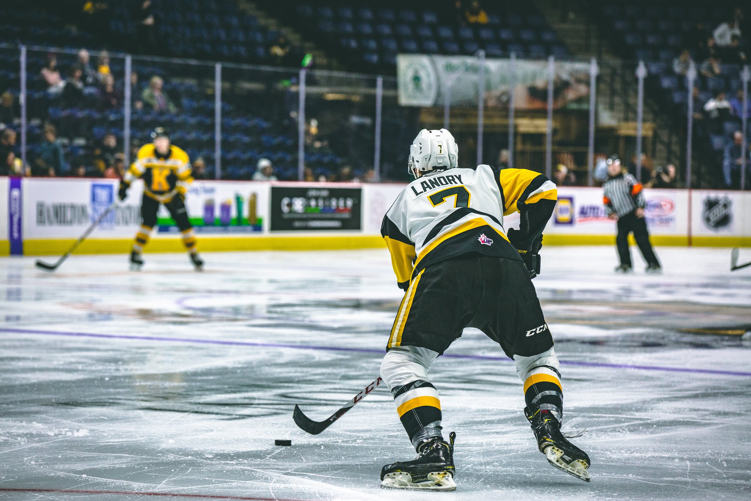 _C4A3787.jpg