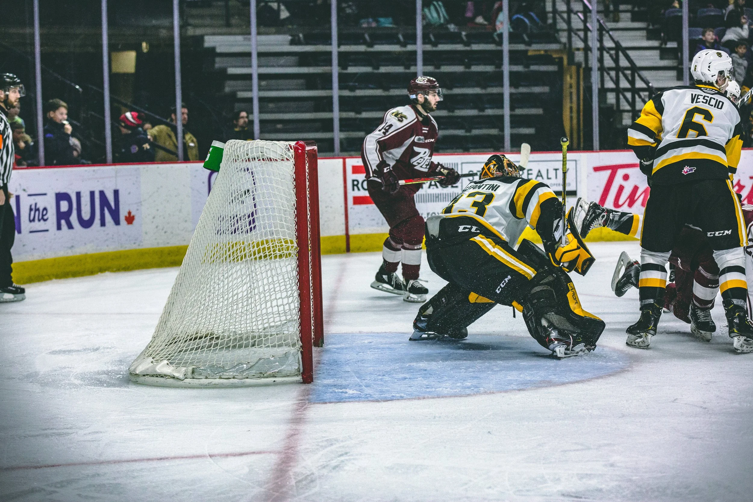 _C4A9487.jpg
