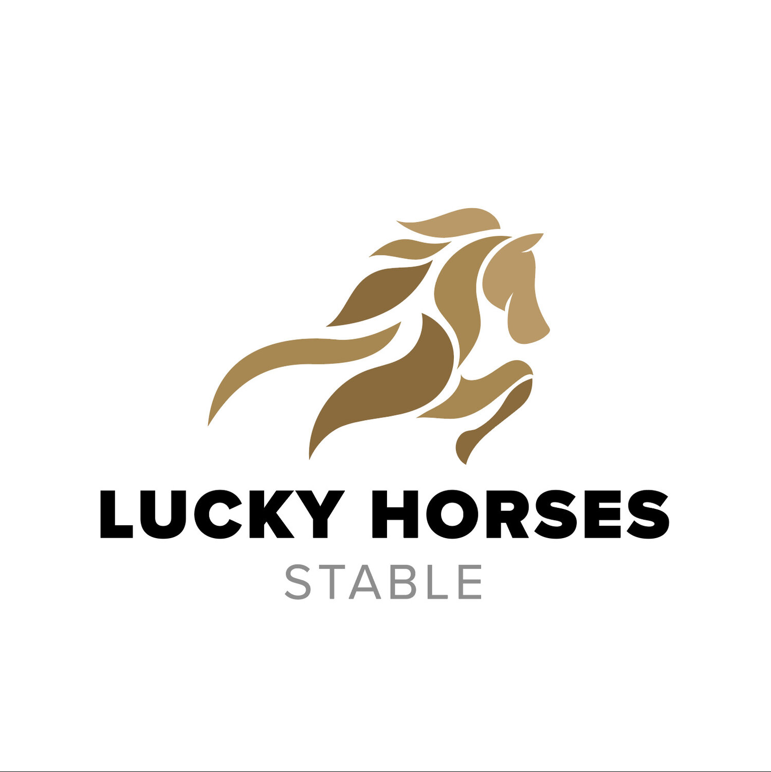 Lucky Horses Stable at Hurghada