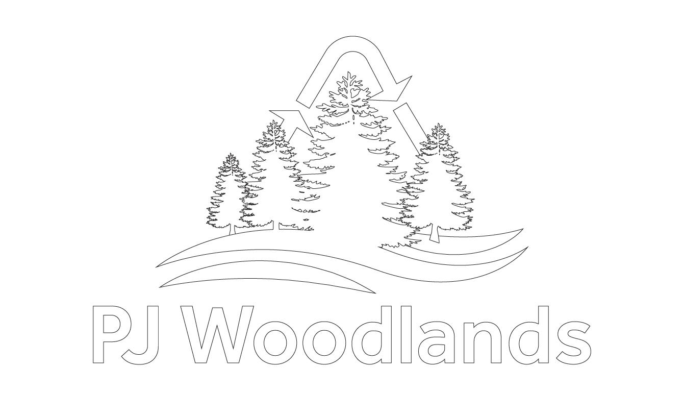 PJ Woodlands