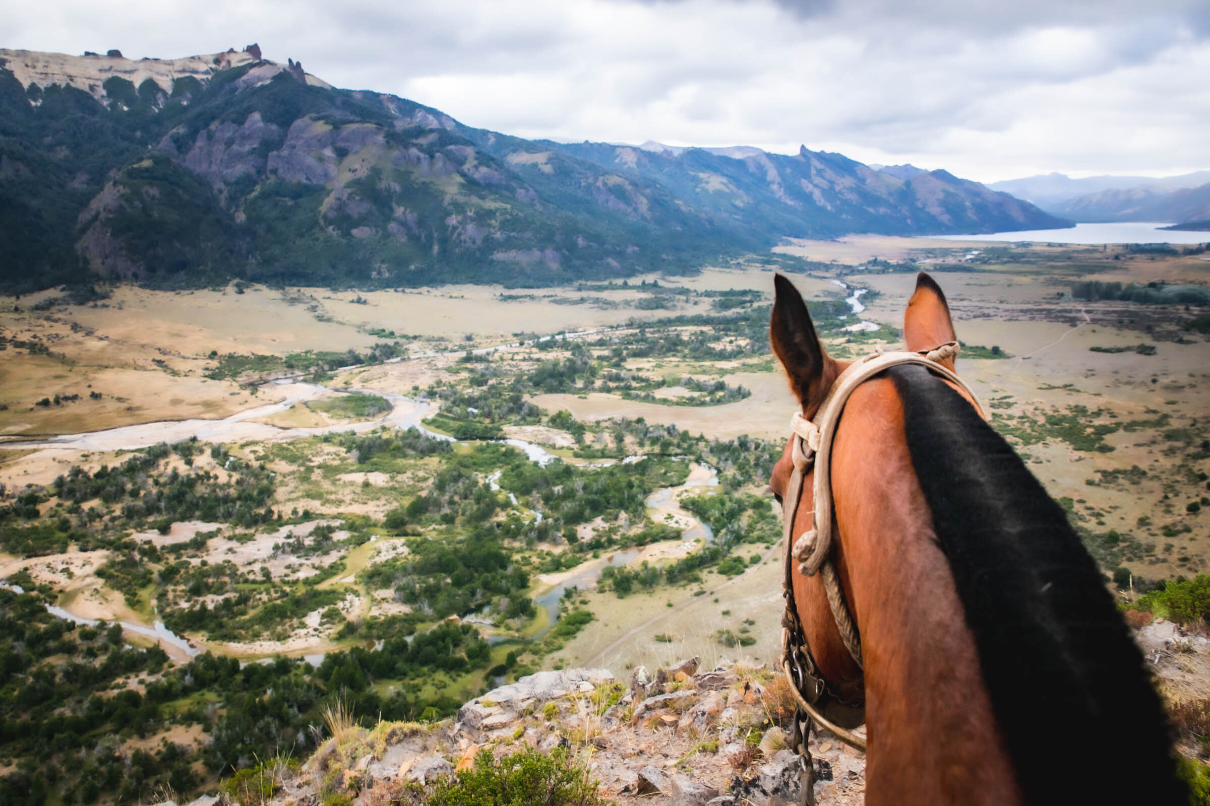  I was reasonably sure that I knew how to steer a horse. Or did I? Roberto took another step forward, his hooves dislodging pebbles that leapt into the abyss ahead. The edge was now inches away, I did not want to accidentally hit the accelerator. I f