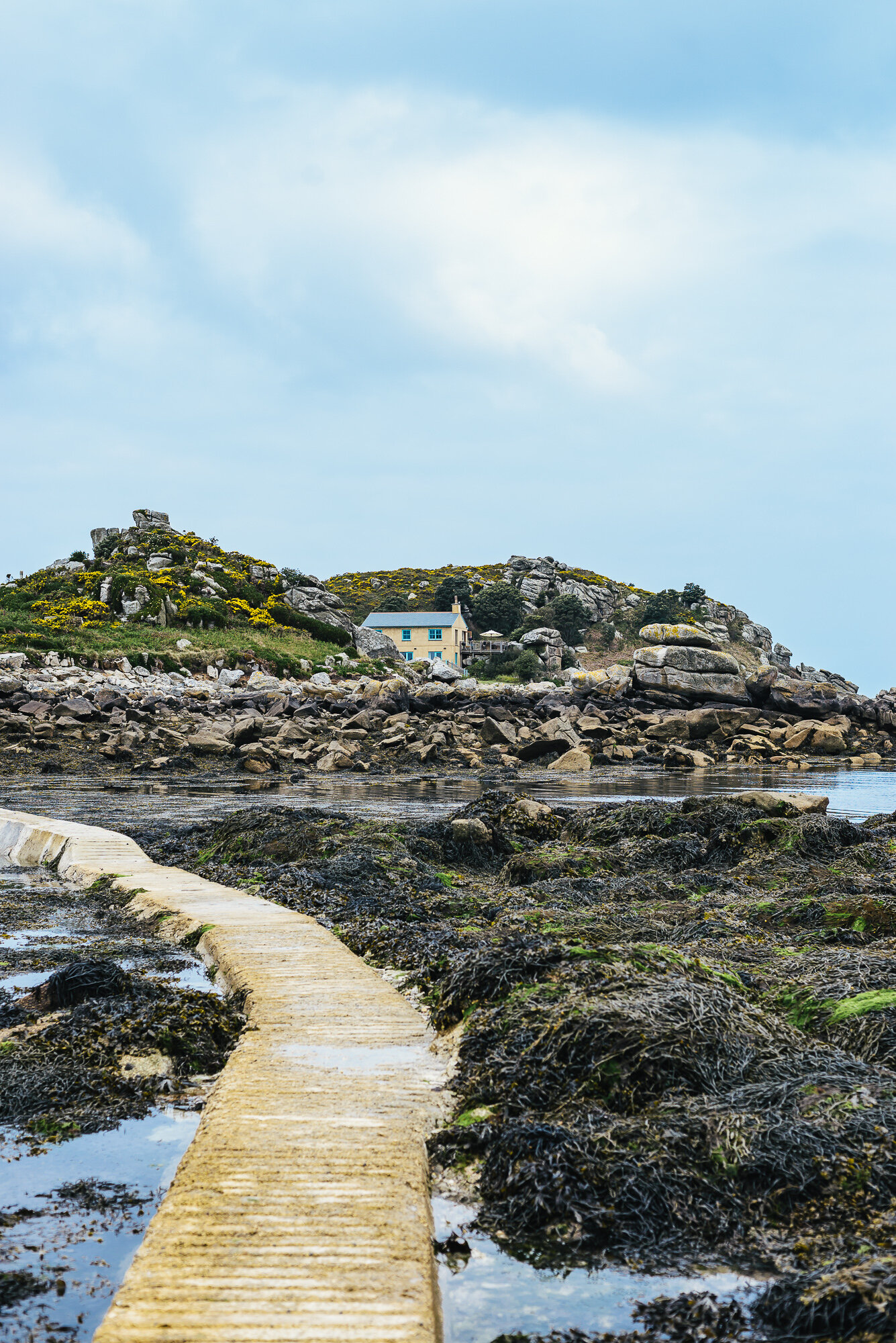 a path through to Merchant’s Point, Tresco Island, Isles of Scilly
