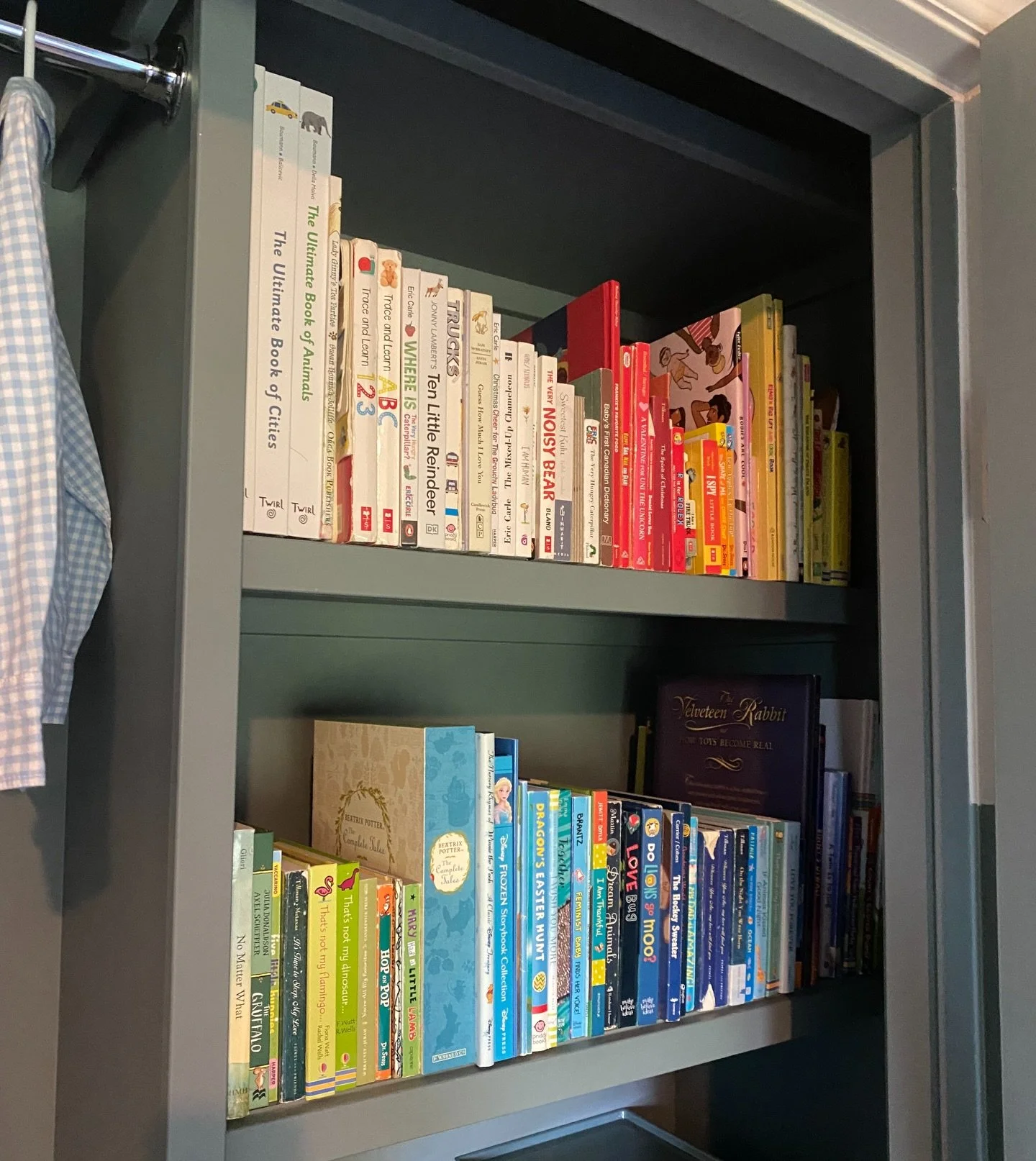 Our kind of magic 🌈 🪄 📚 

#getorganized #organization