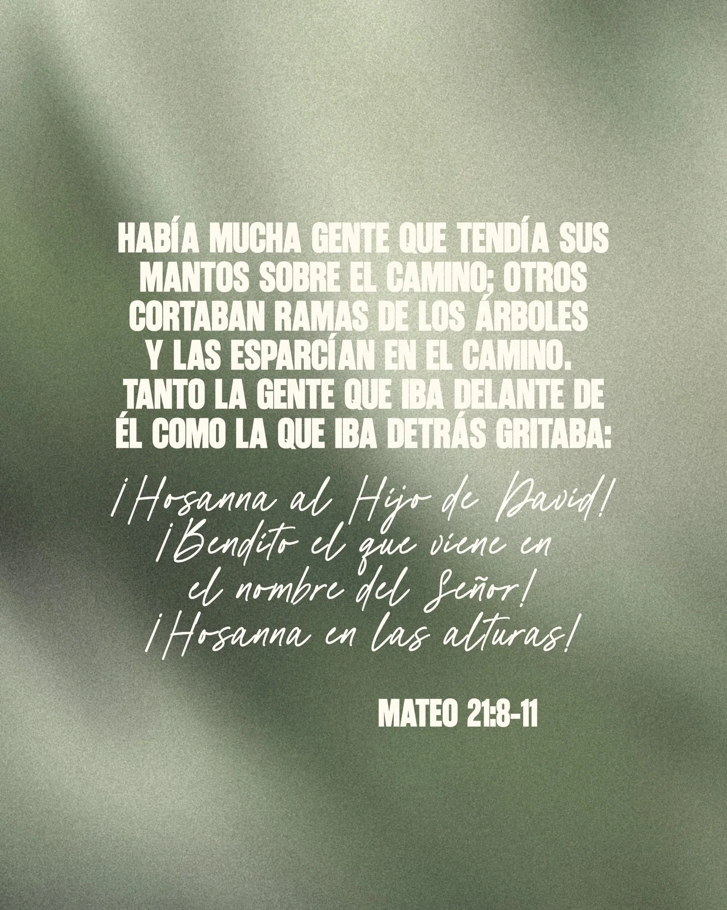 Si nadie quiere ser el burro, 
yo estoy disponible! 🫏 
Y t&uacute; &iquest;Est&aacute;s disponible?
.
.
.
#sermonnotes