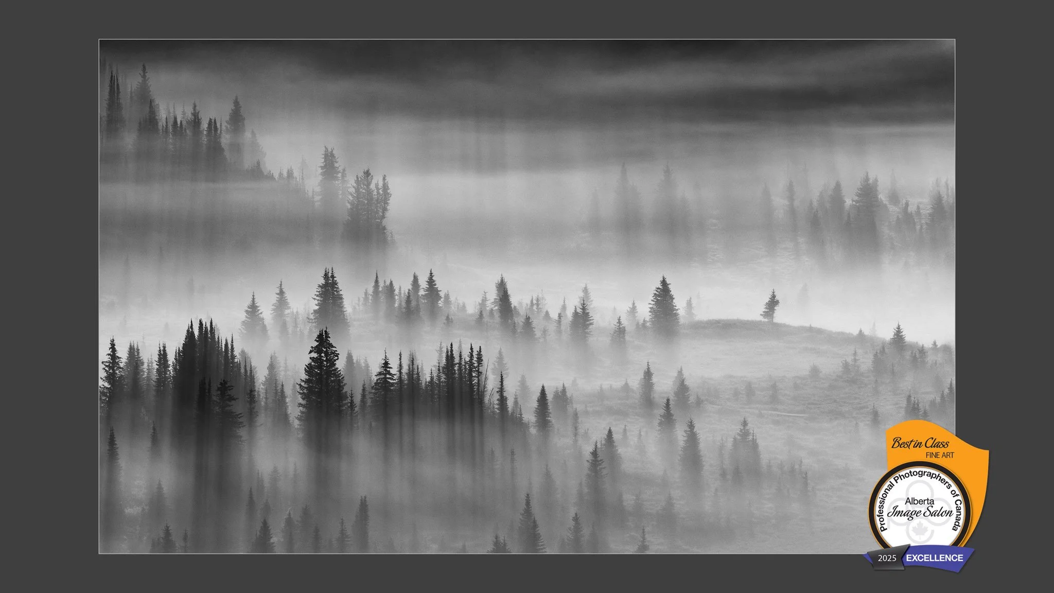 Celebrating Success at the PPOC Alberta Regional Image Salon