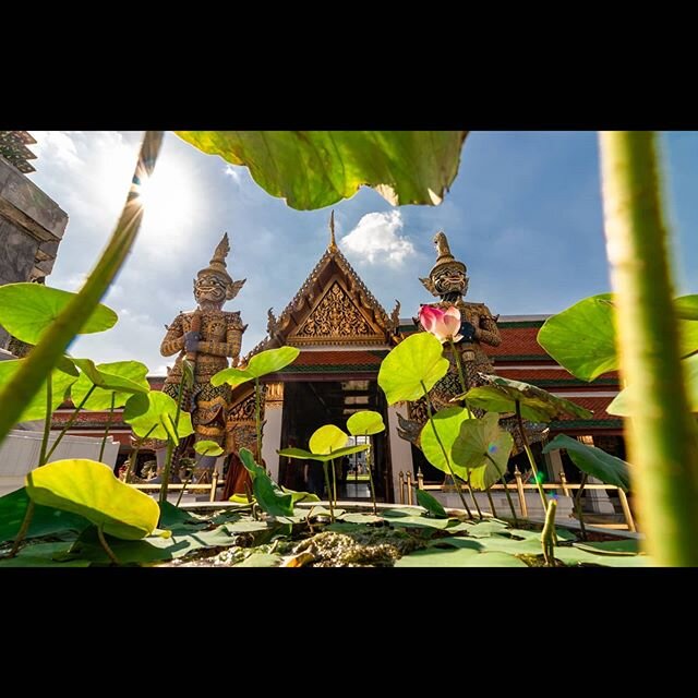 A common view is to use the first day of the year to do something that you would like to do or work on for the rest of the year, I started my year with travelling as I wanted to travel more this year but little did I know that things would turn out t