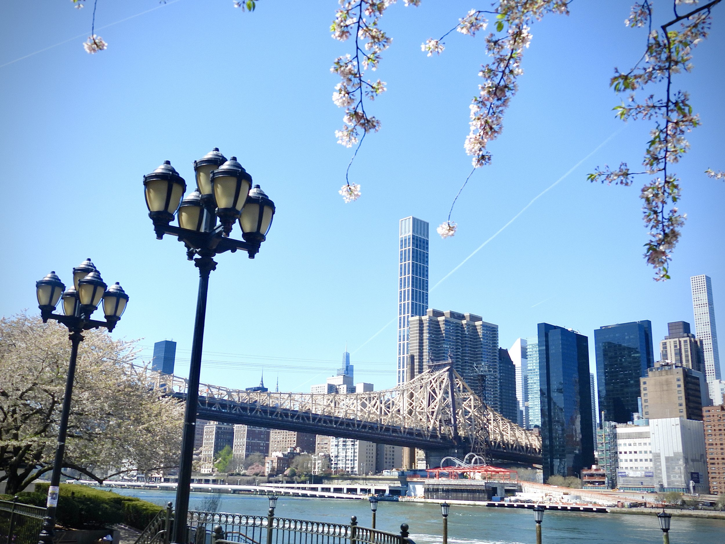 DSCN0678.JPG