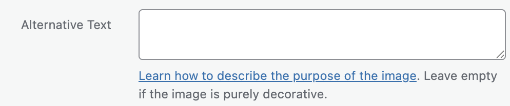 screenshot showing an empty alt text box