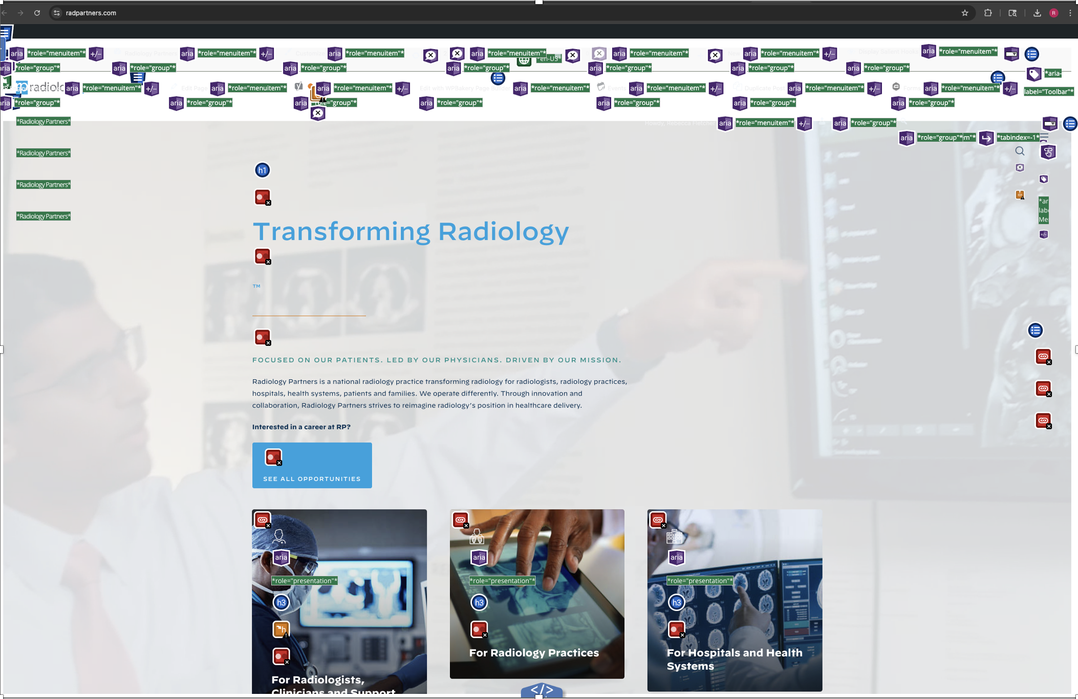 Radpartners.com homepage screenshot with accessibility issues flagged