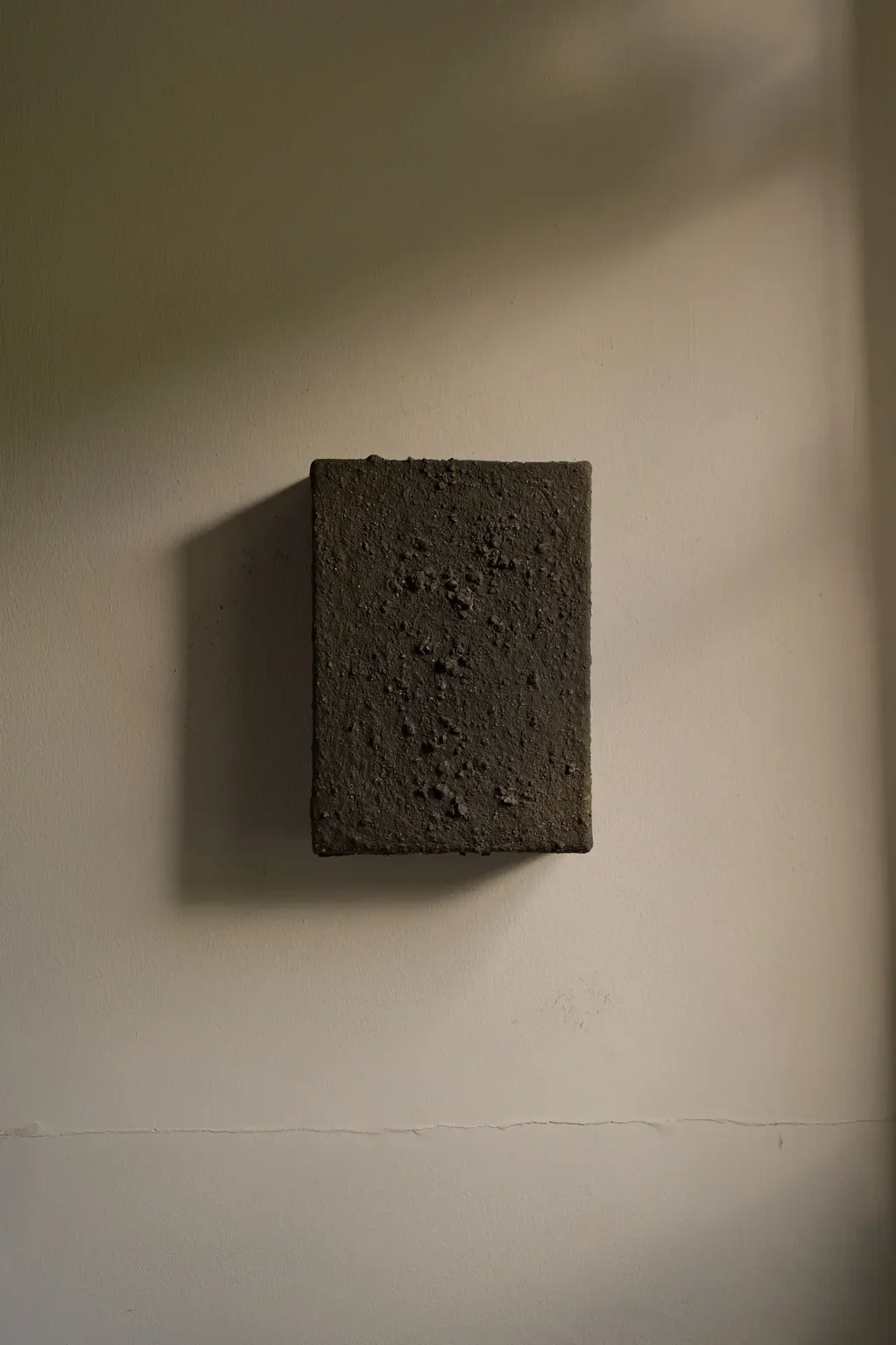 Pine | Lungchuzeka Goemba | Elise Crutzen