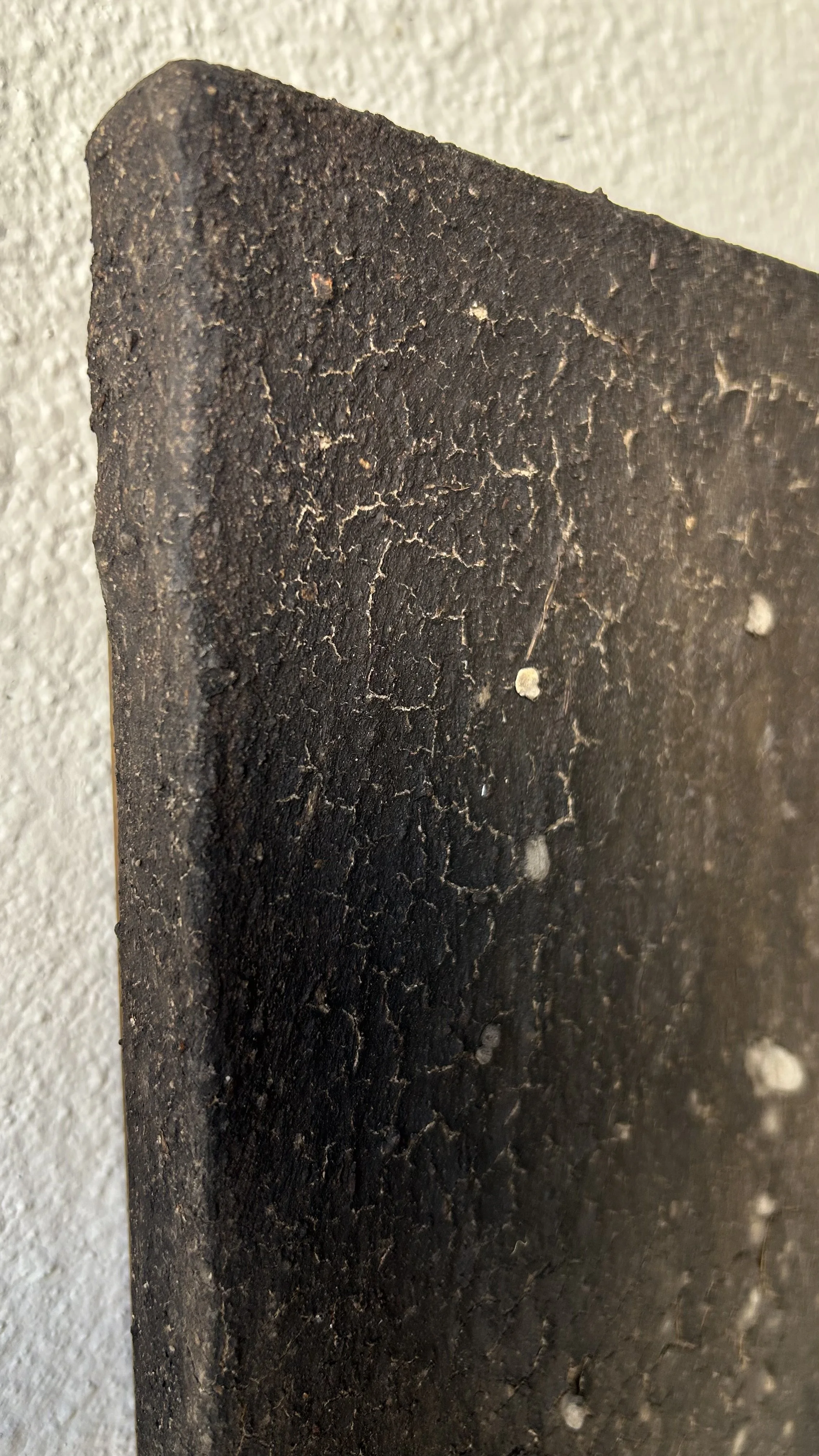IMG_5124.jpeg