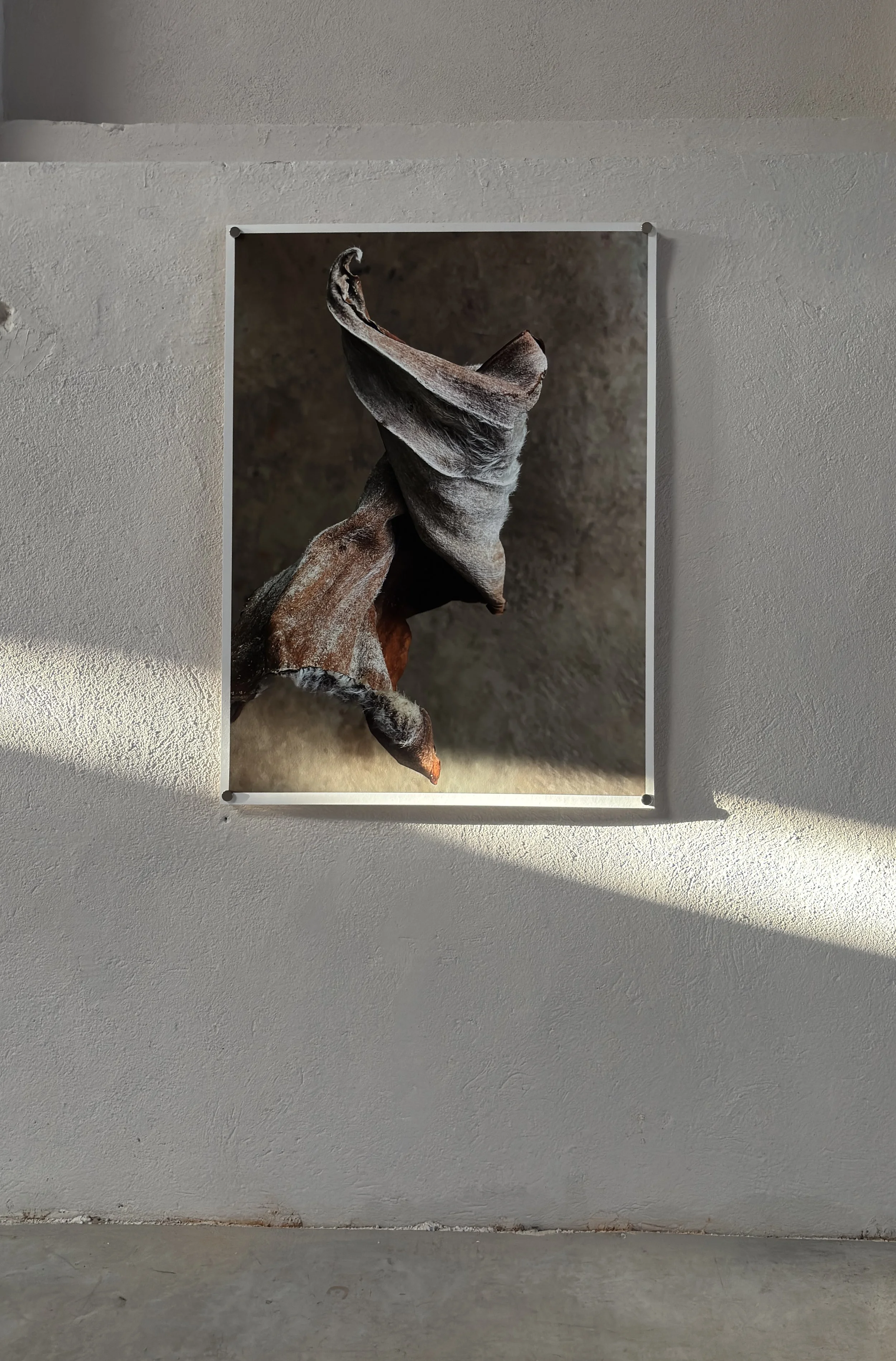 image00049.jpeg